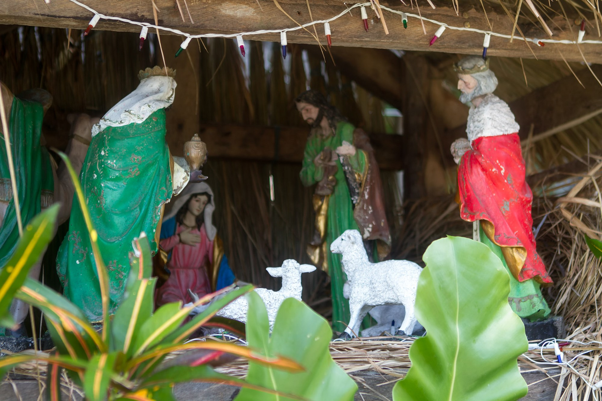 Фото и видео съемка мероприятия. Фото и видеосъемка