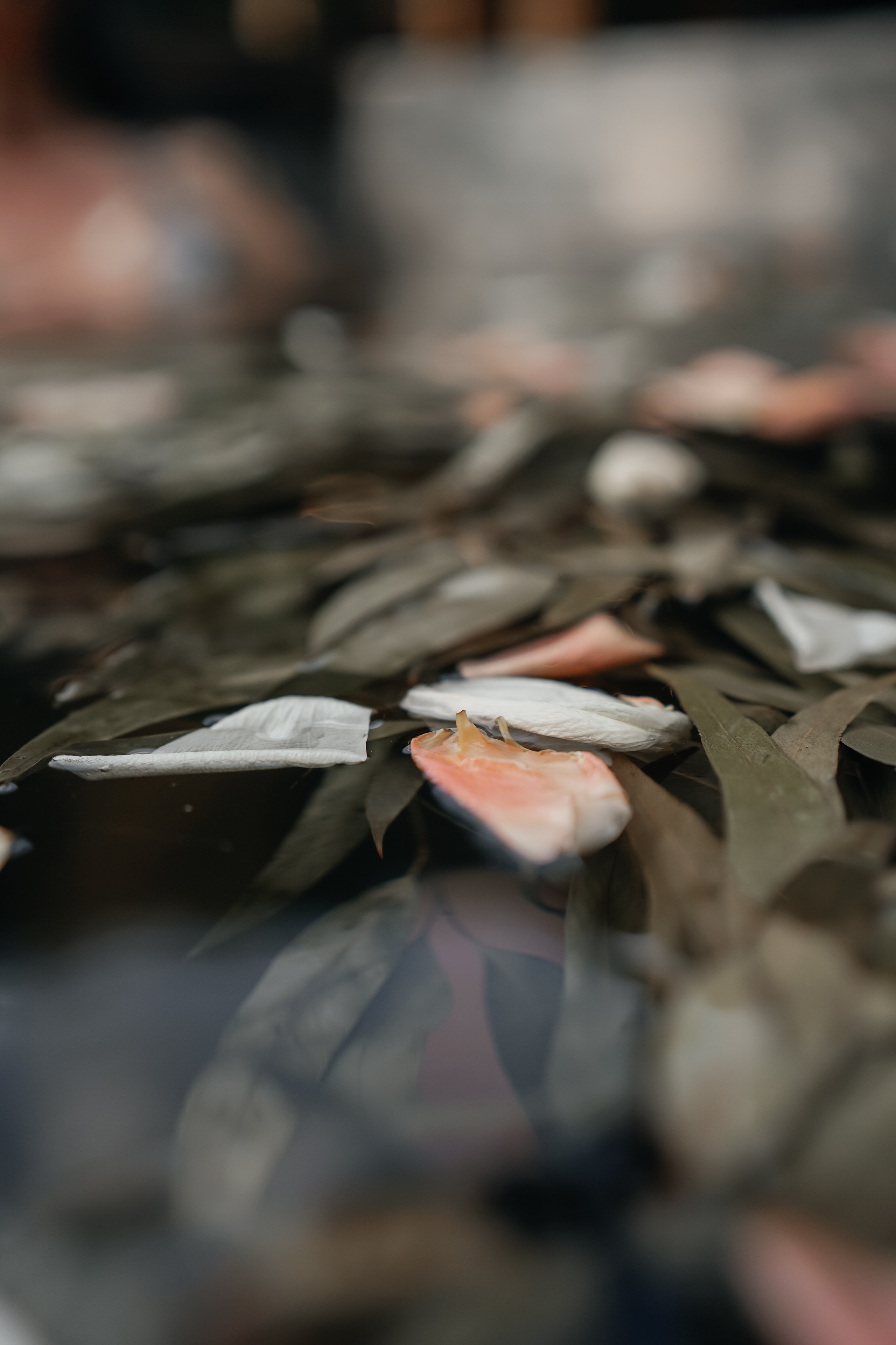 Баня Espas. Главная