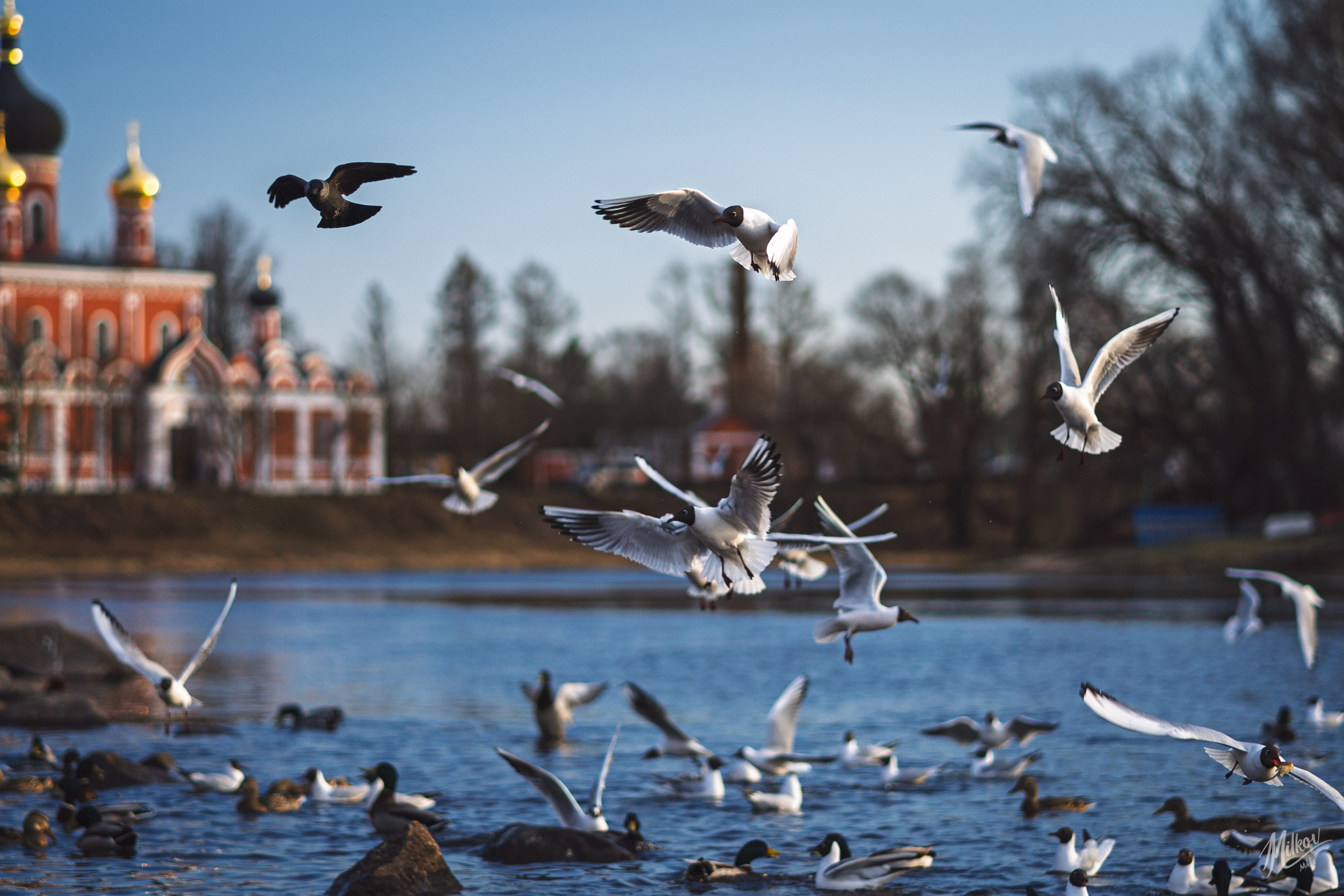 Стрит фото. Mikoff — Воспоминания и эмоции неподвластные времени