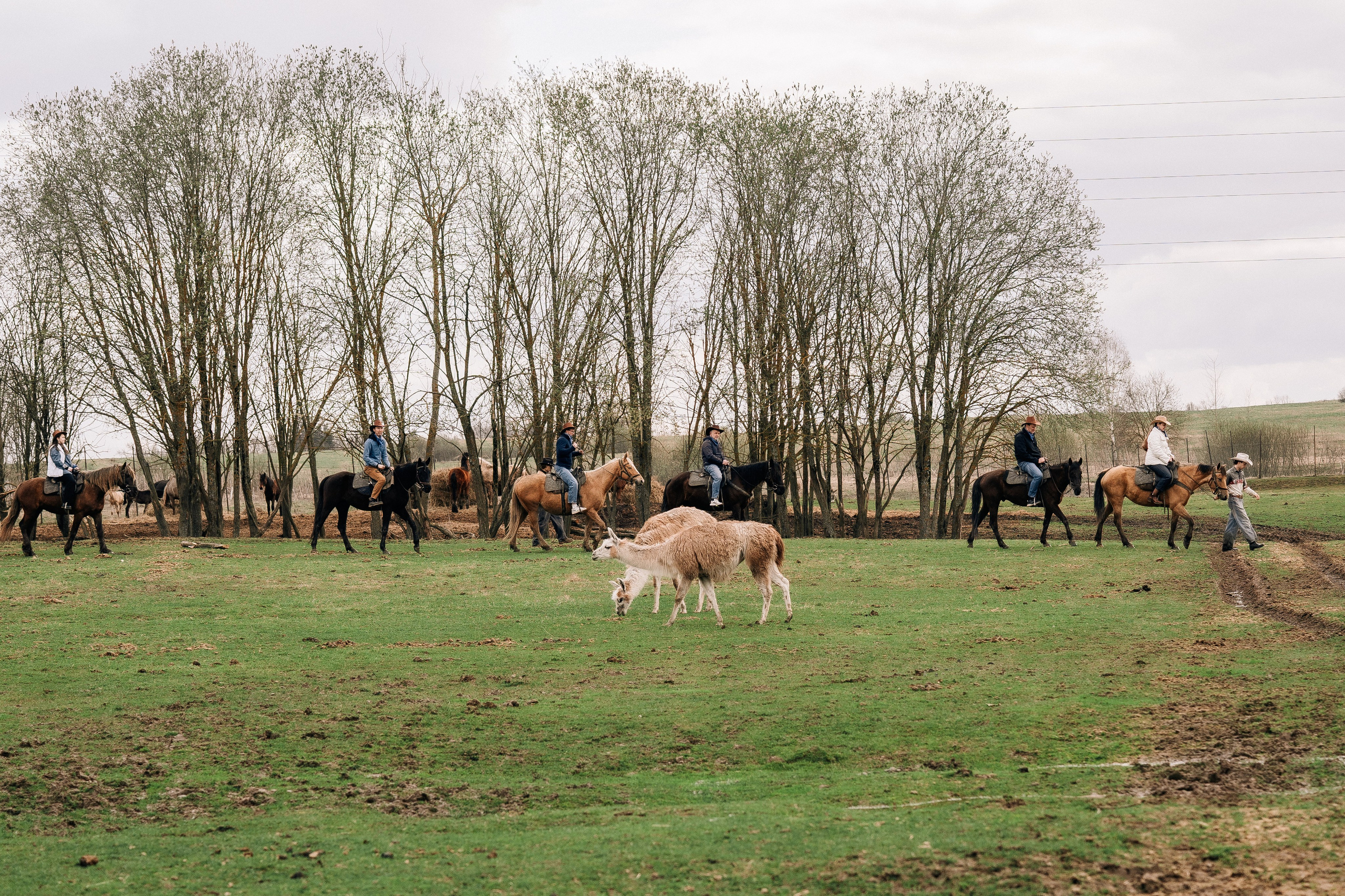 Фотосъемка мероприятия в ранчо Аванпост. Свадебный и семейный фотограф в Москве и МО Геннадий Туманцев