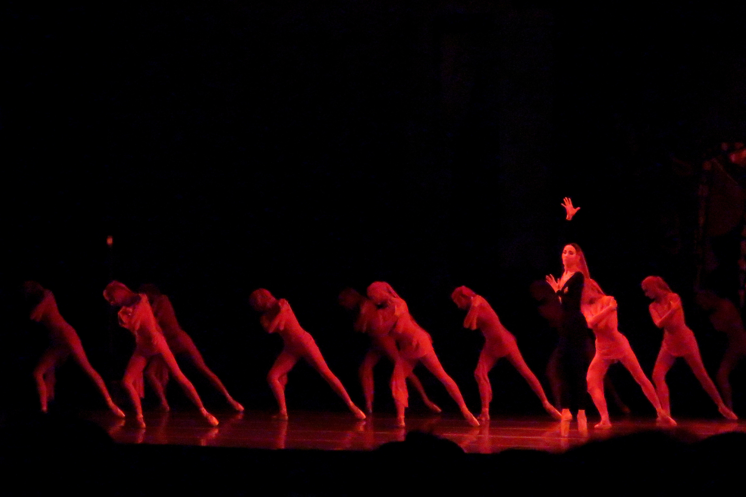 Творческий вечер Кимин Кима. Фотограф Ксения Соло