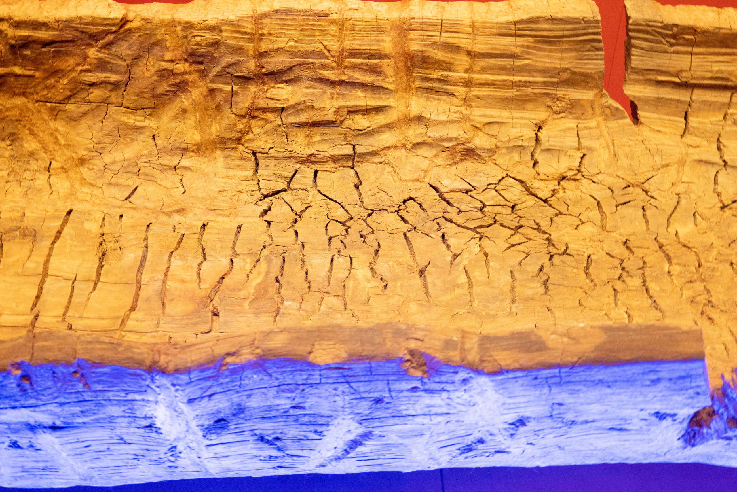 Поездка на поле Кулеково. Фотограф в Туле Крупский АнДРей. Фотостудия «КАДР71» в Туле