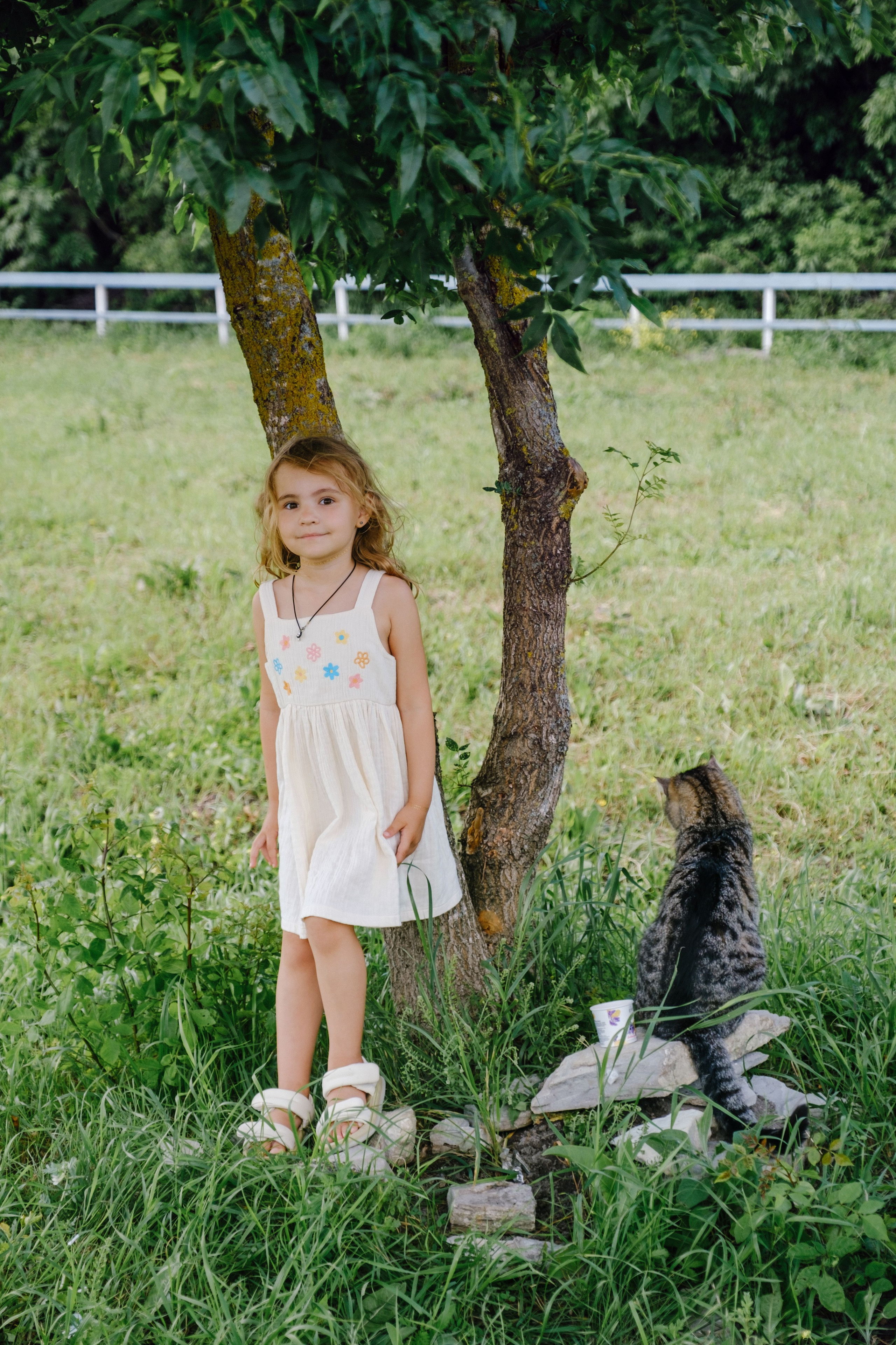 Лавандовые поля-Maison de Plantes. Свадебный Видеограф Фотограф в Сочи