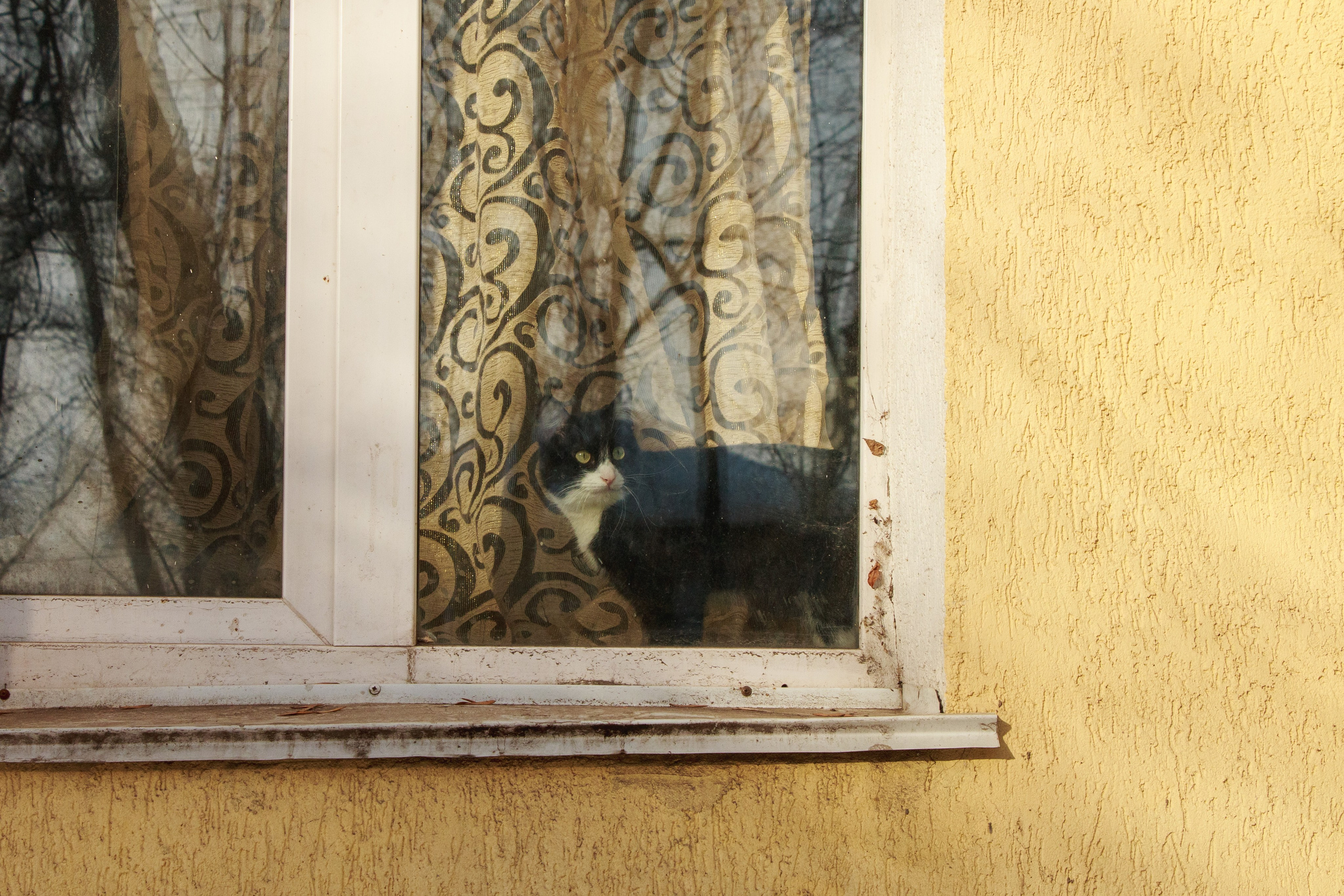 Уфа. Фотопрогулка. Олег Романов. Мастер фото по спорту