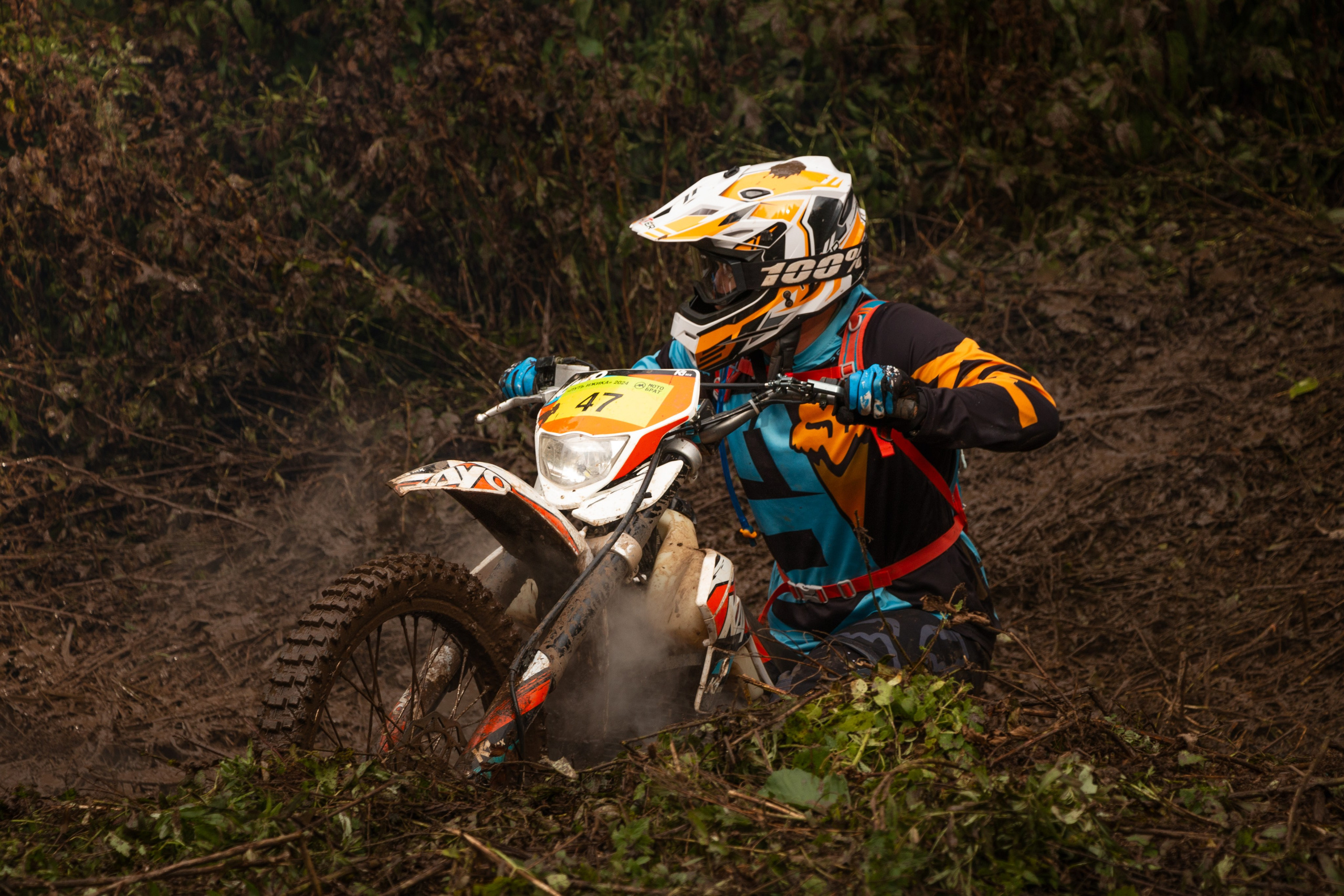 Путь Ижика. Ижевск 2024. Олег Романов. Мастер фото по спорту