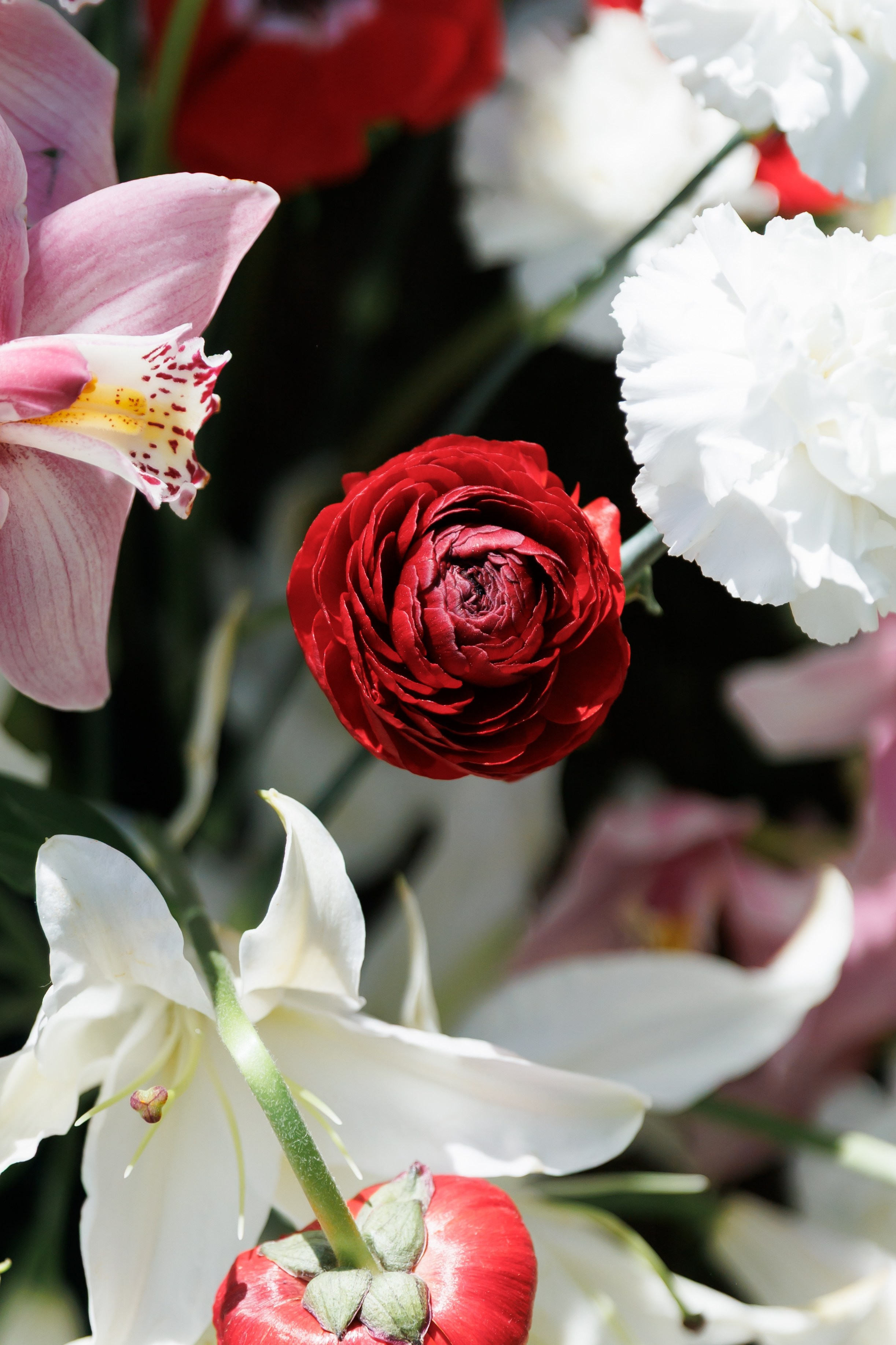 V&K. Свадебный фотограф. Москва. Мытищи