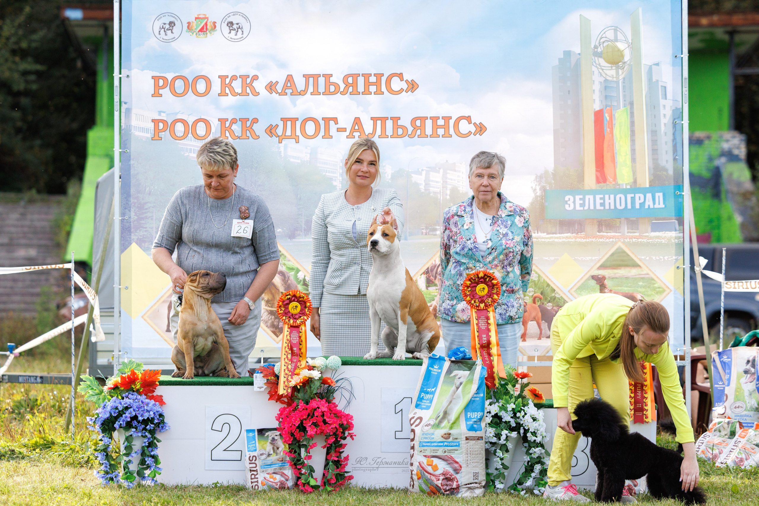 Зеленоград 13.09.2025. Фотограф-анималист Юлия Германика