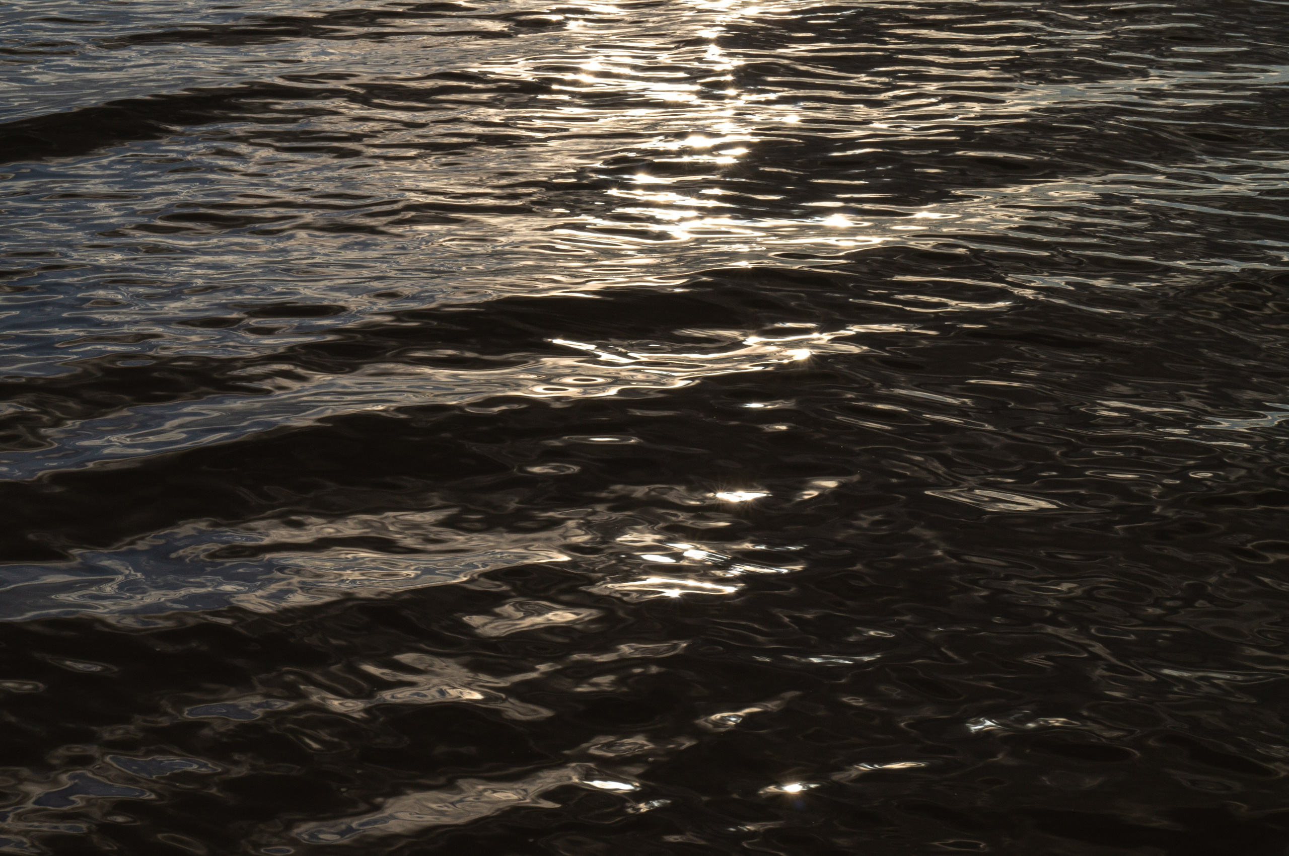 дачи, город, архитектура, стрит, репортажная фотография, фотография, Хабаровск, фотосессия, фотограф, дом, новостройка, улицы, жизнь города, town, art, photo, photographer, photo, Khabarovsk, Far East, street photo, природа, Дальний Восток, тайга, цветы, закат, небо, облака, nature, clouds, forest, flower, sunset