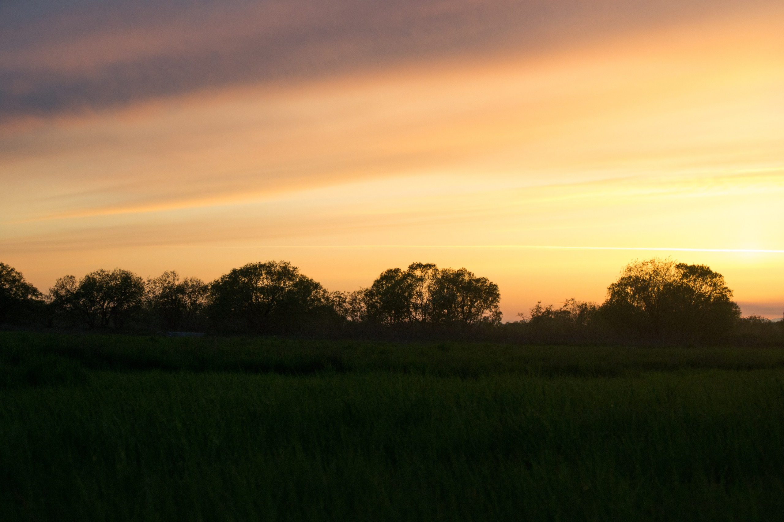 дачи, город, архитектура, стрит, репортажная фотография, фотография, Хабаровск, фотосессия, фотограф, дом, новостройка, улицы, жизнь города, town, art, photo, photographer, photo, Khabarovsk, Far East, street photo, природа, Дальний Восток, тайга, цветы, закат, небо, облака, nature, clouds, forest, flower, sunset