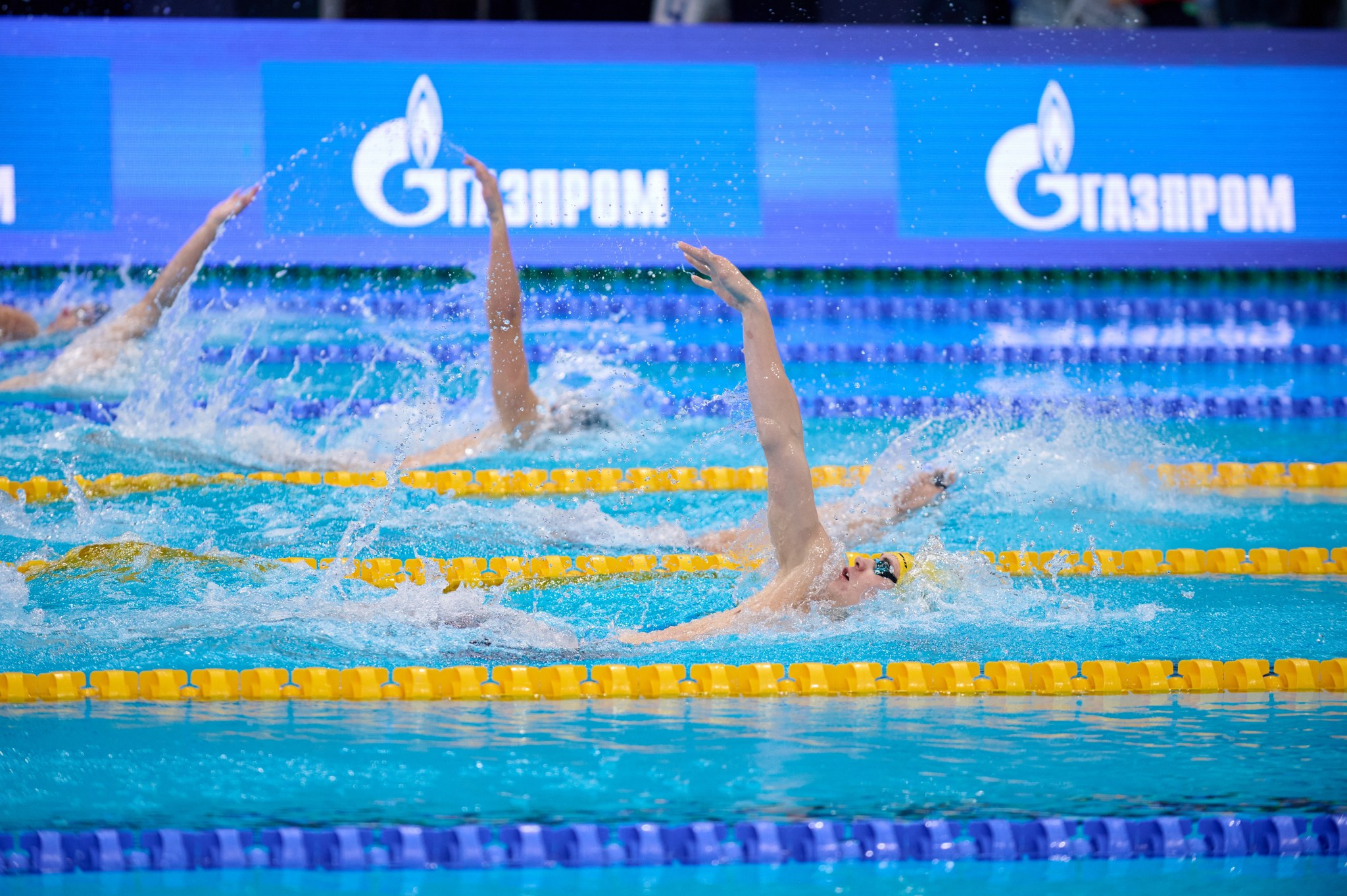 Кубок России по плаванию 2024 г. Екатеринбург. Мезенцев Евгений фотограф