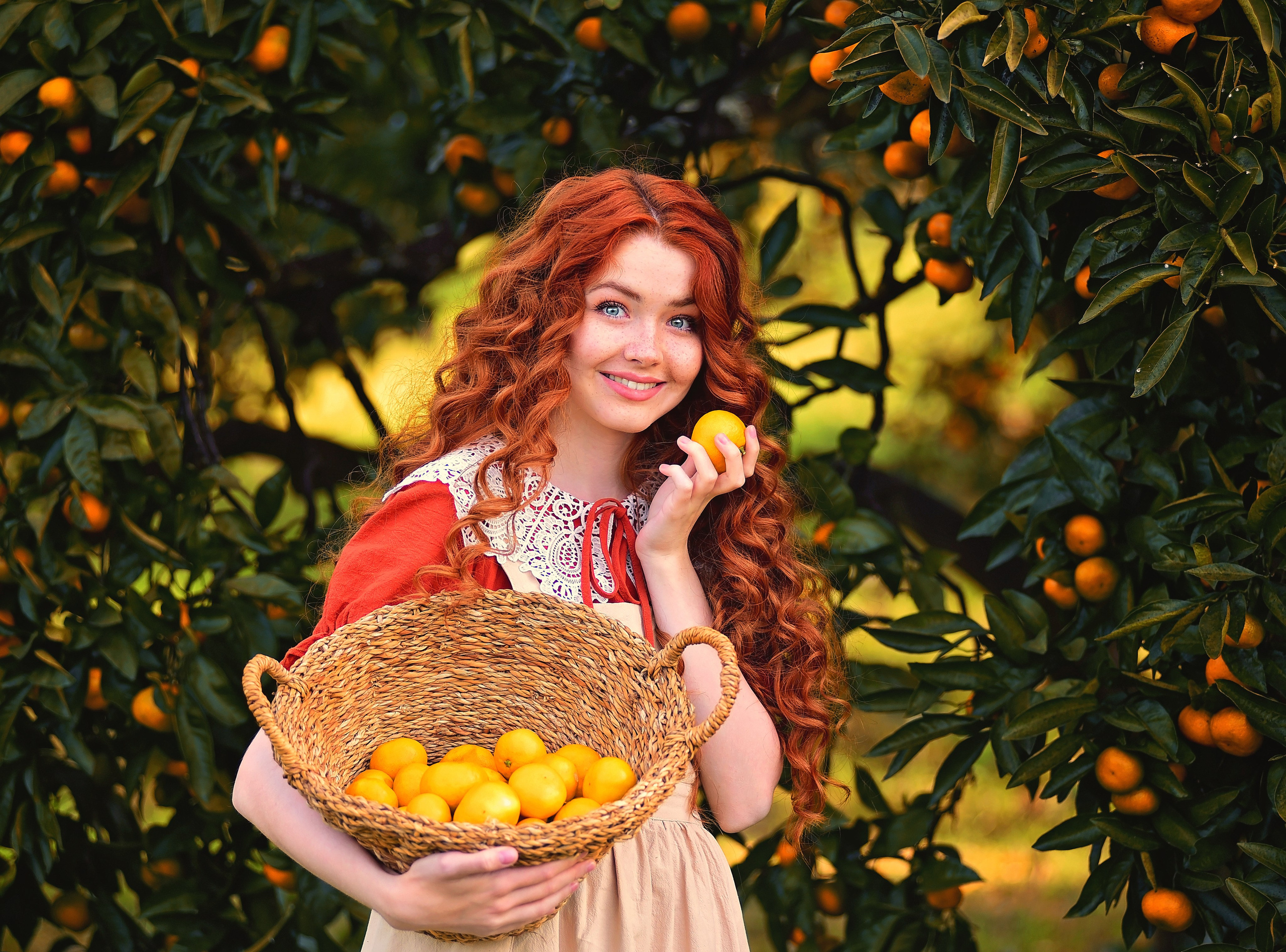 Мандарины. Главная