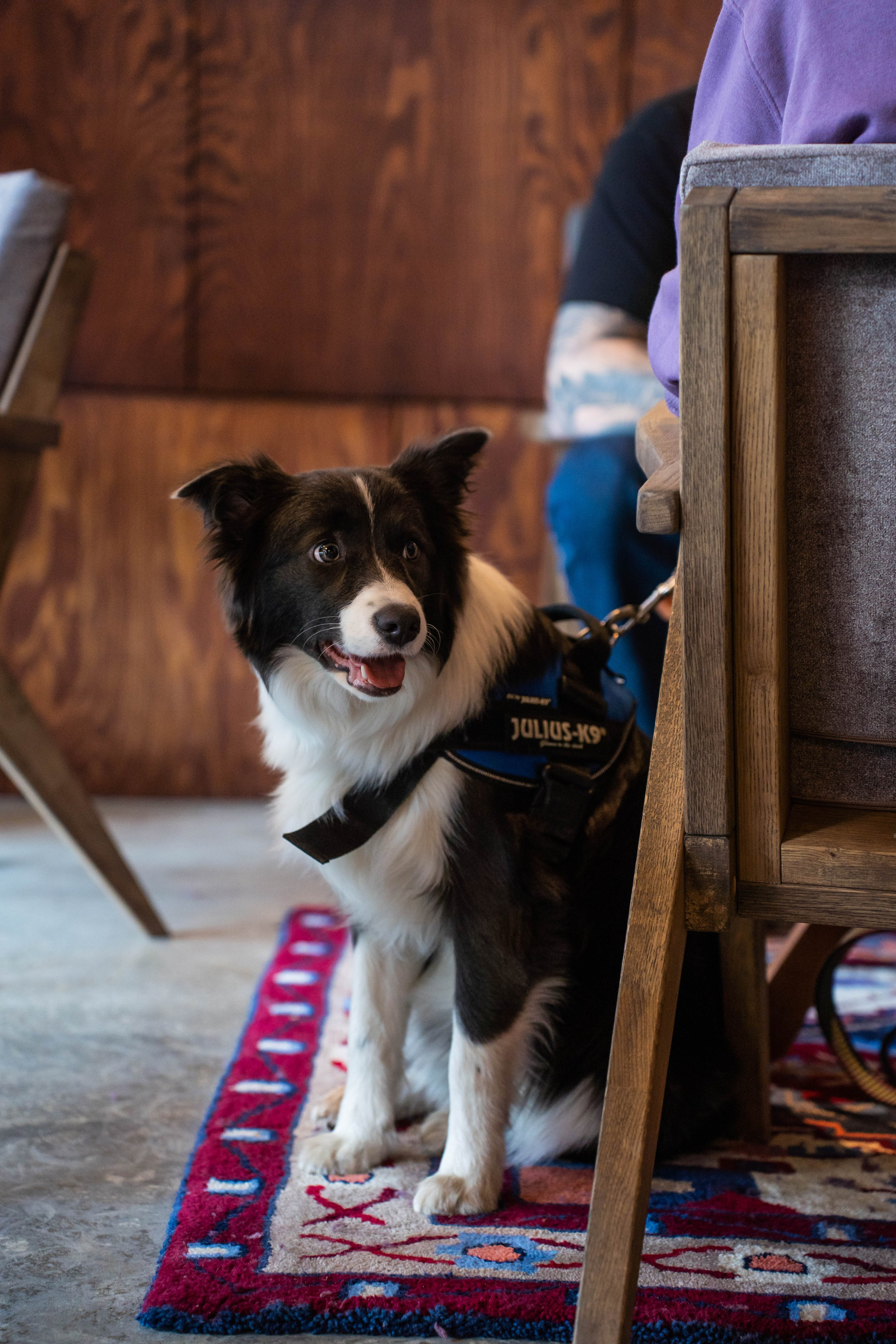 SURF COFFEE| DAY. Фотограф Абакумова Анастасия