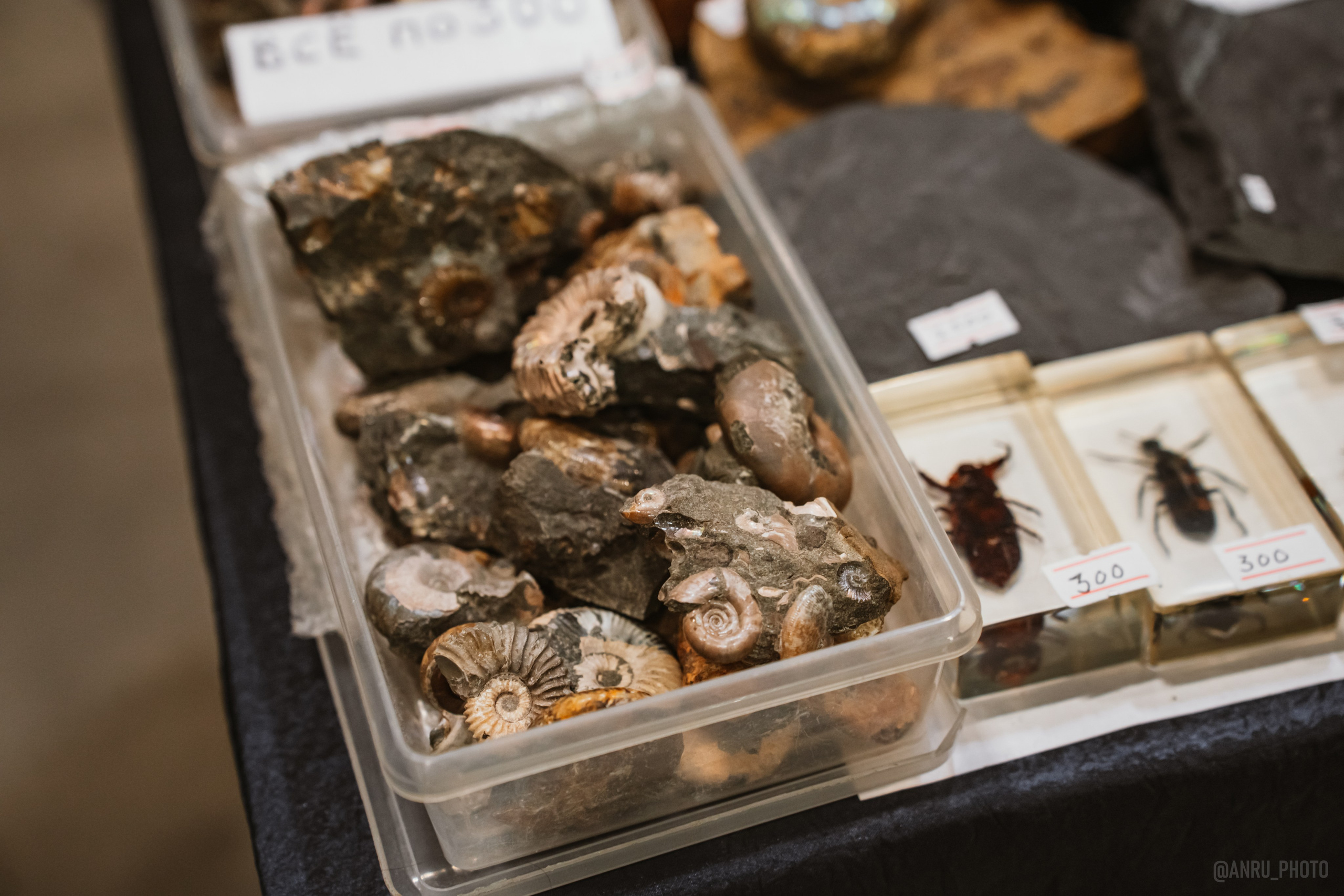 Рептилиум (ручная работа). Репортажный фотограф Анастасия Рубцова