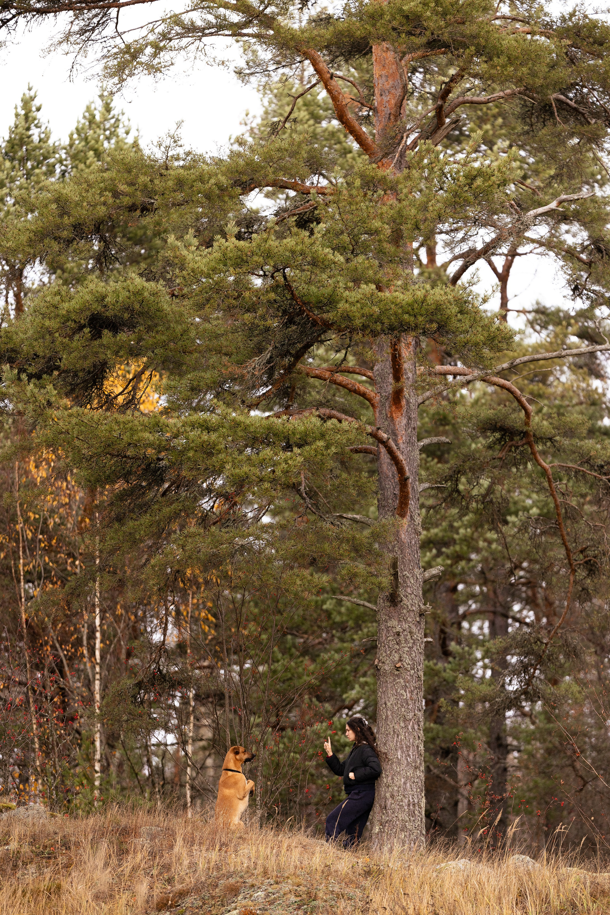 Karelia. Фотограф и видеограф анималист Аганина Дарья