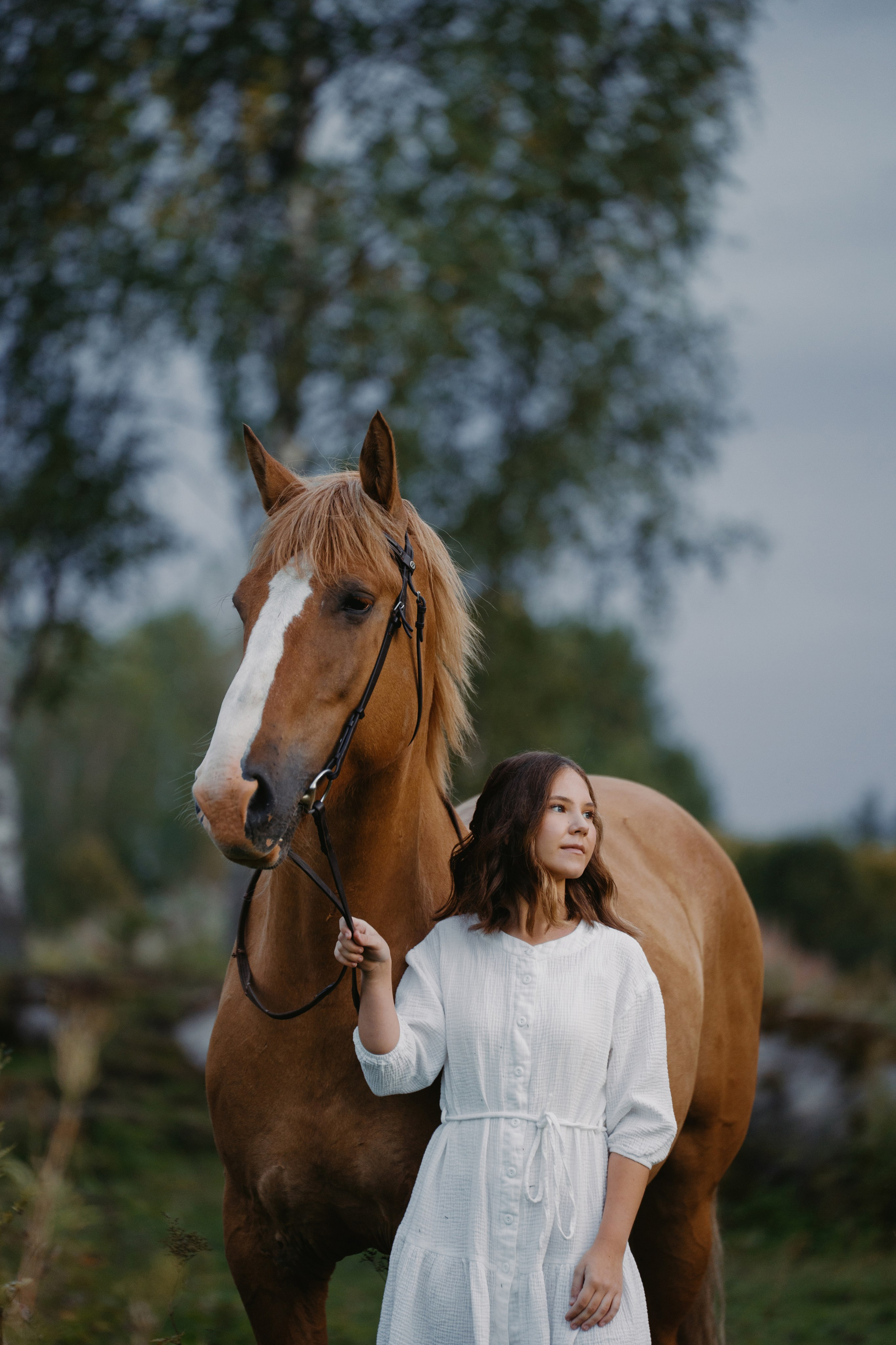 Конные. Главная