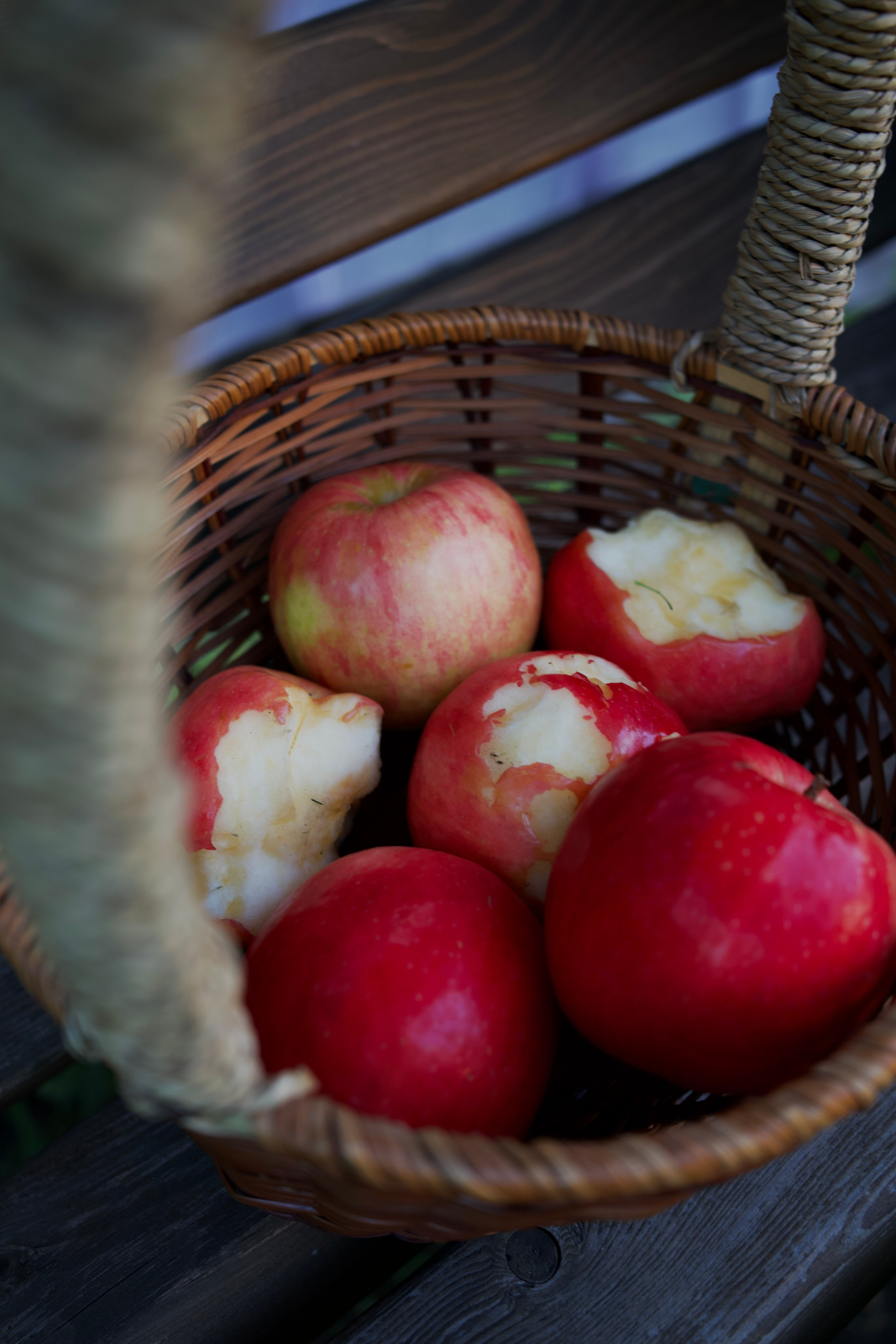 Family. Ваш фотограф Ангелина на Пхукете 🖤