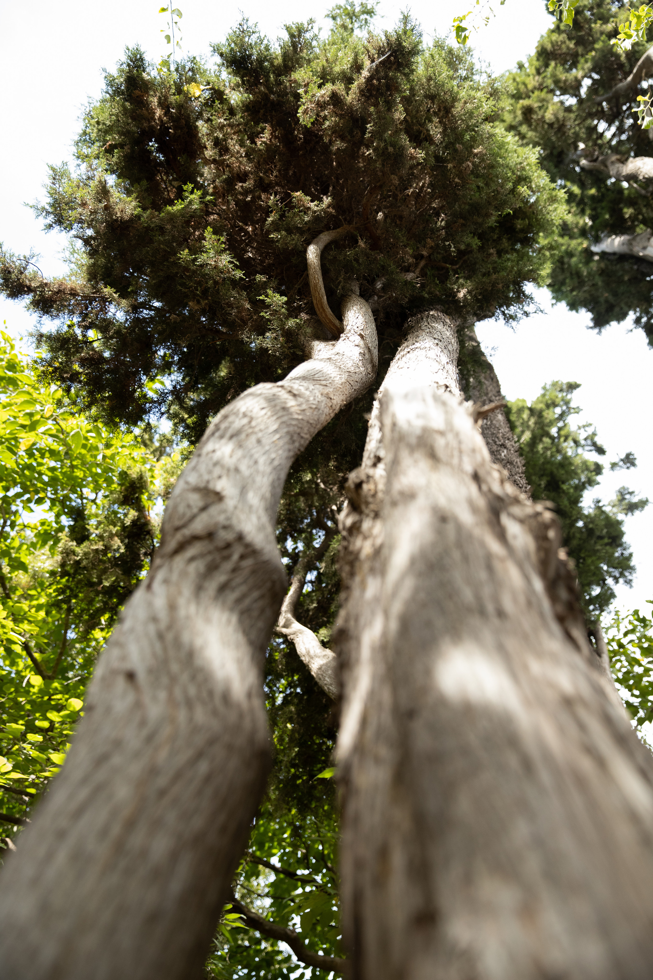 Афины. Свадебный фотограф Москва Степановский Александр