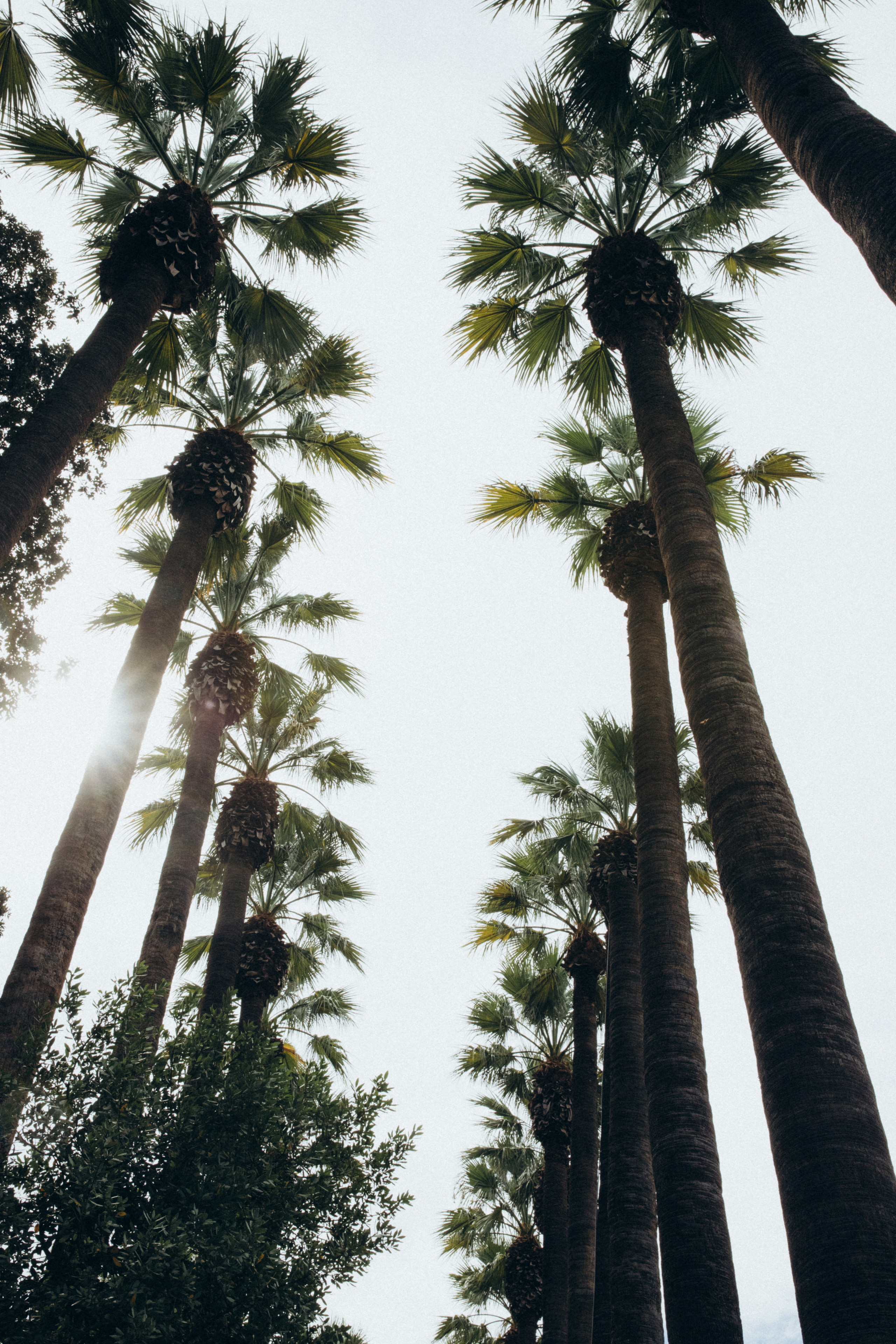 Афины. Свадебный фотограф Москва Степановский Александр