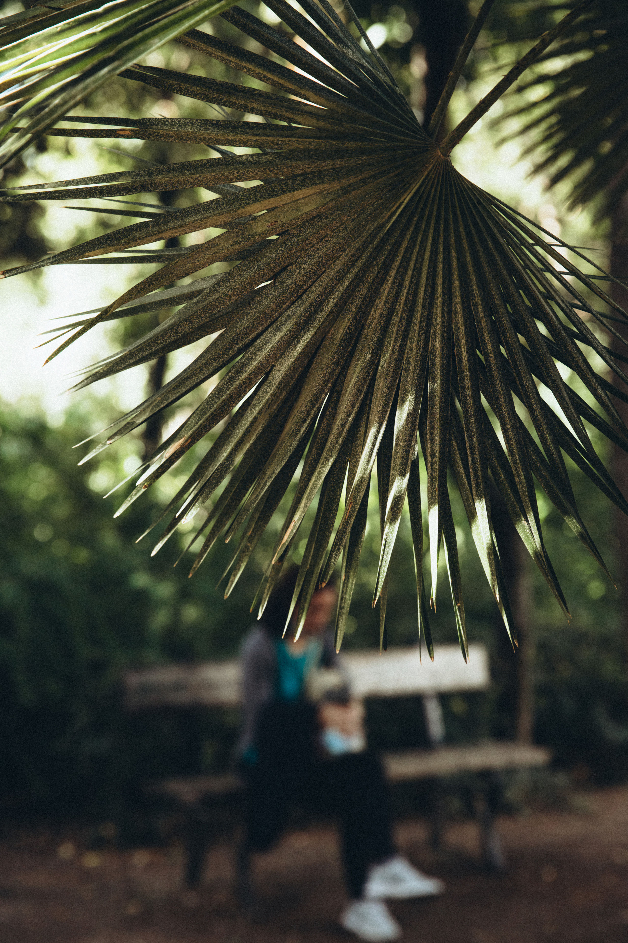 Афины. Свадебный фотограф Москва Степановский Александр