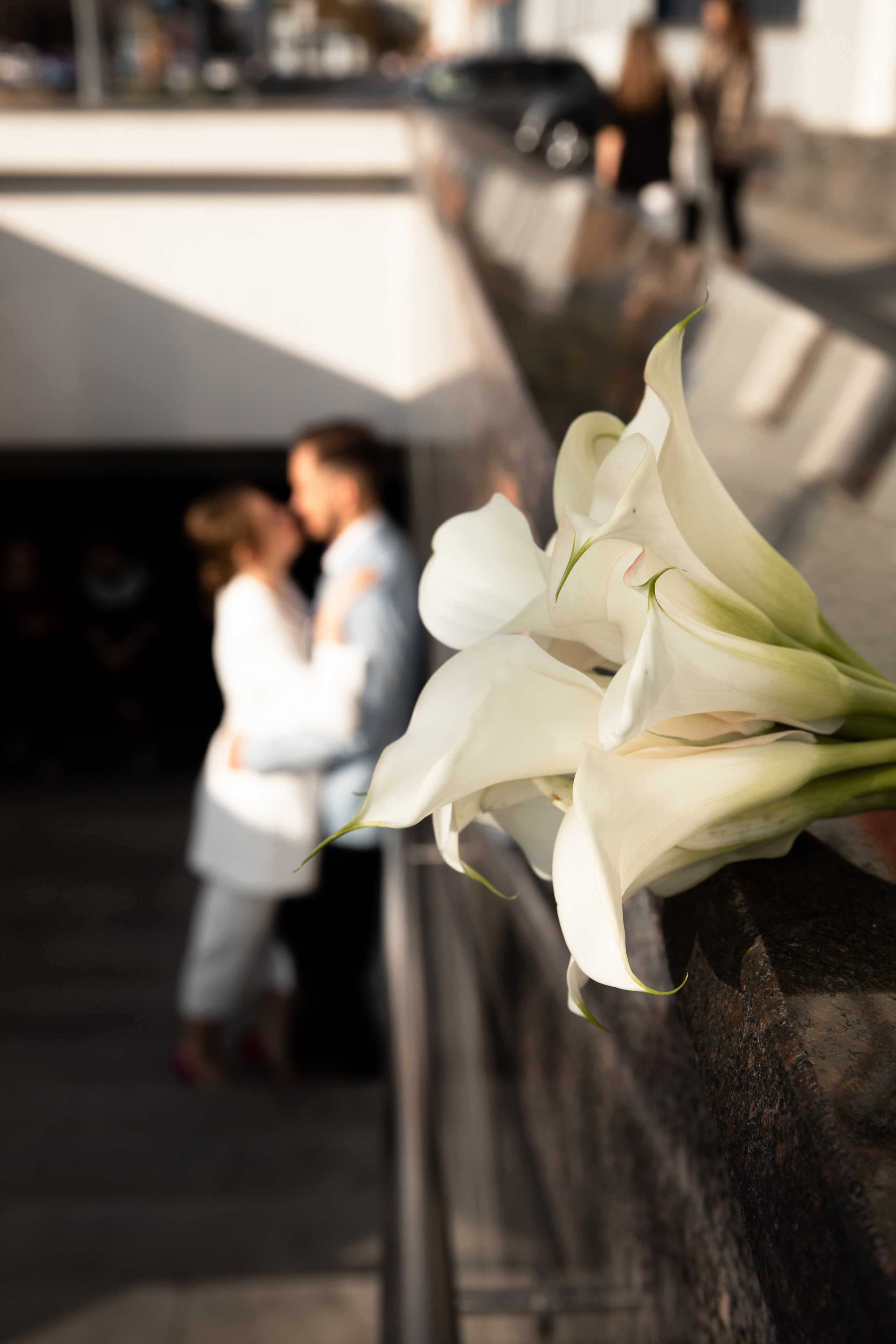 Елена и Кирилл. Свадебный фотограф Москва Степановский Александр