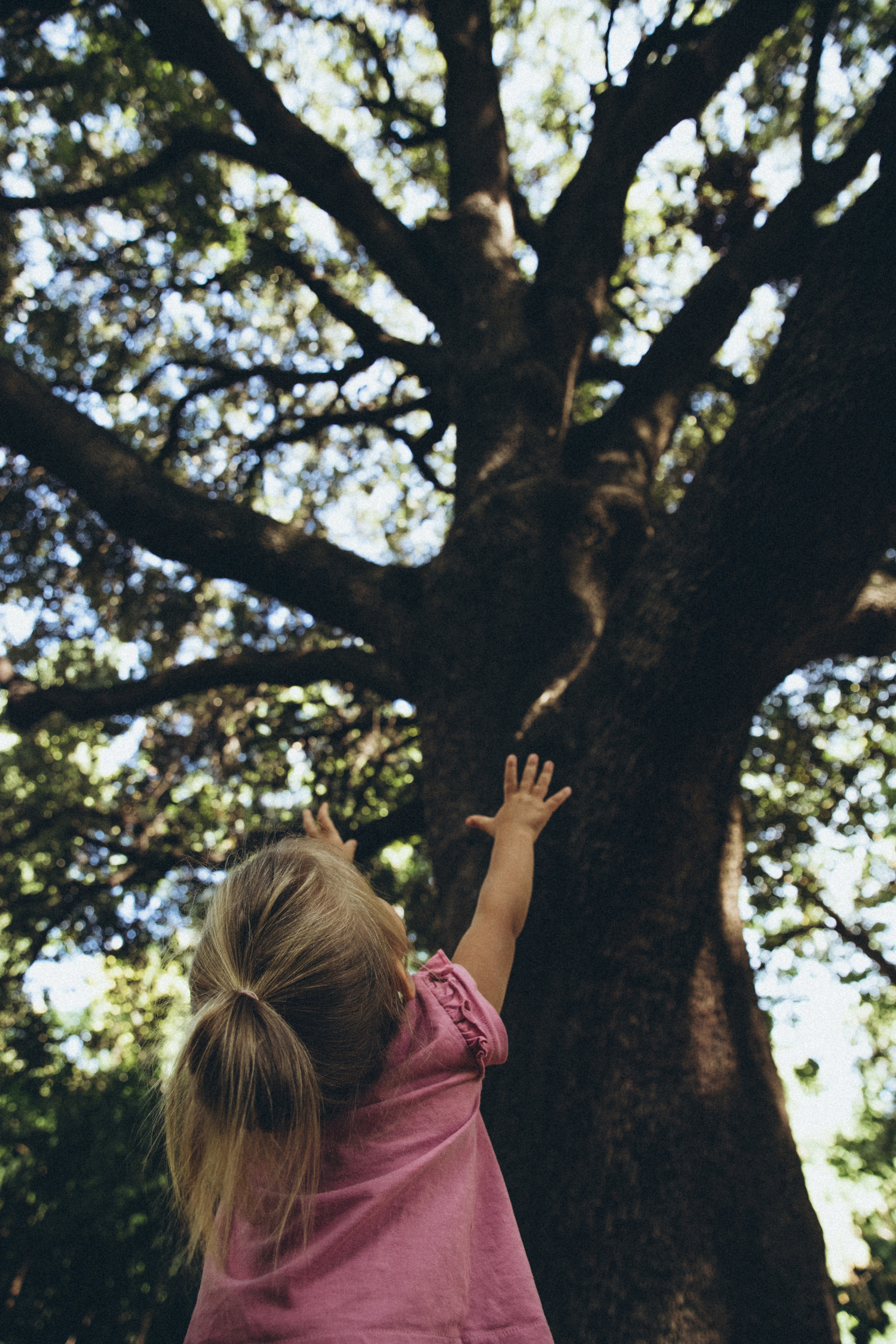 Афины. Свадебный фотограф Москва Степановский Александр