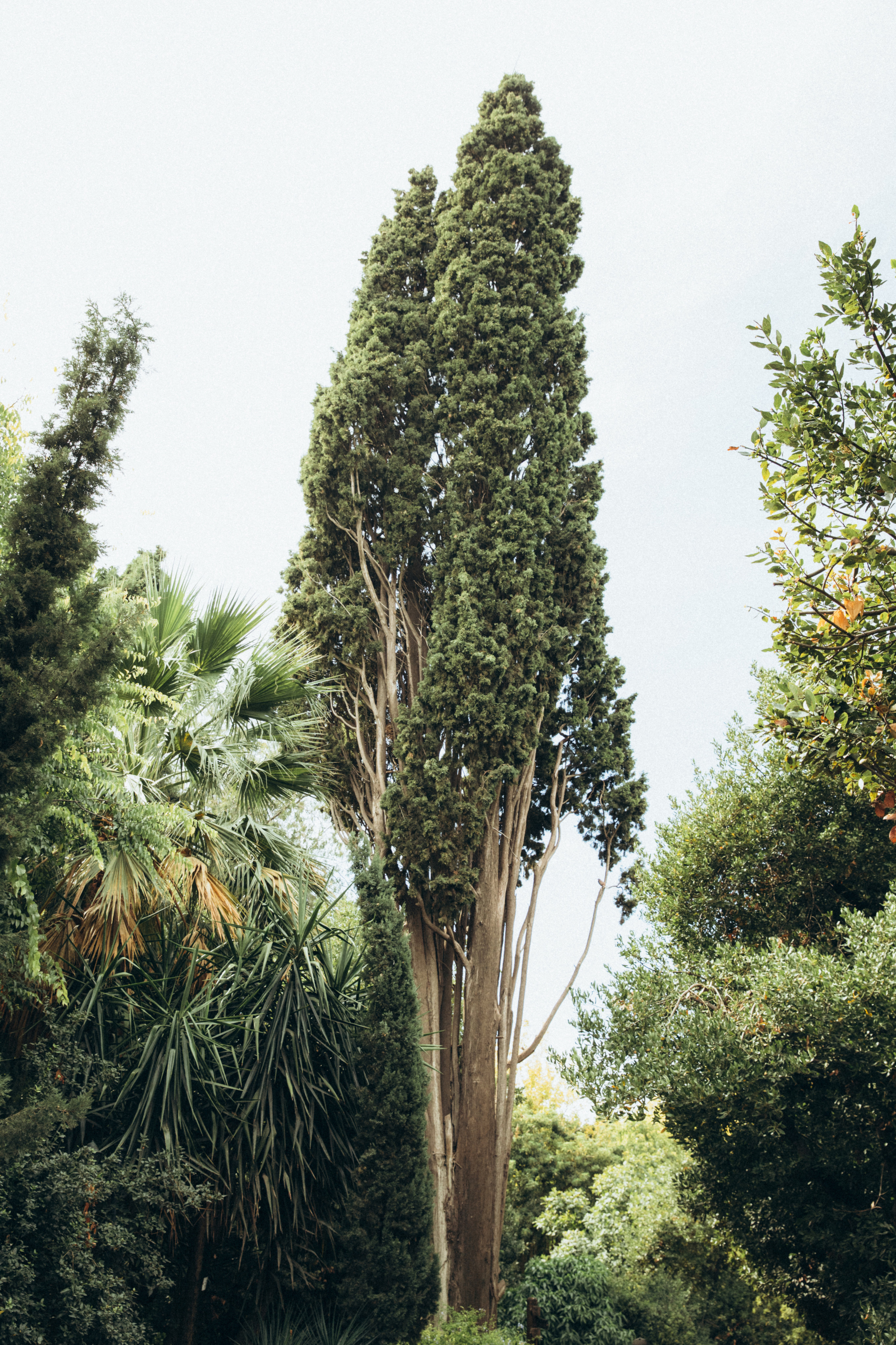 Афины. Свадебный фотограф Москва Степановский Александр