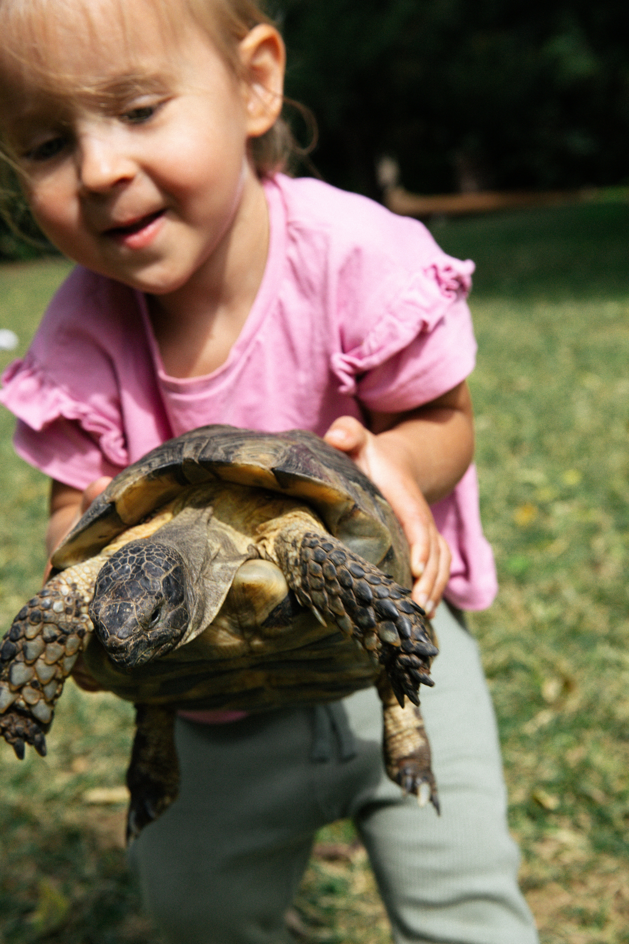 Афины. Свадебный фотограф Москва Степановский Александр