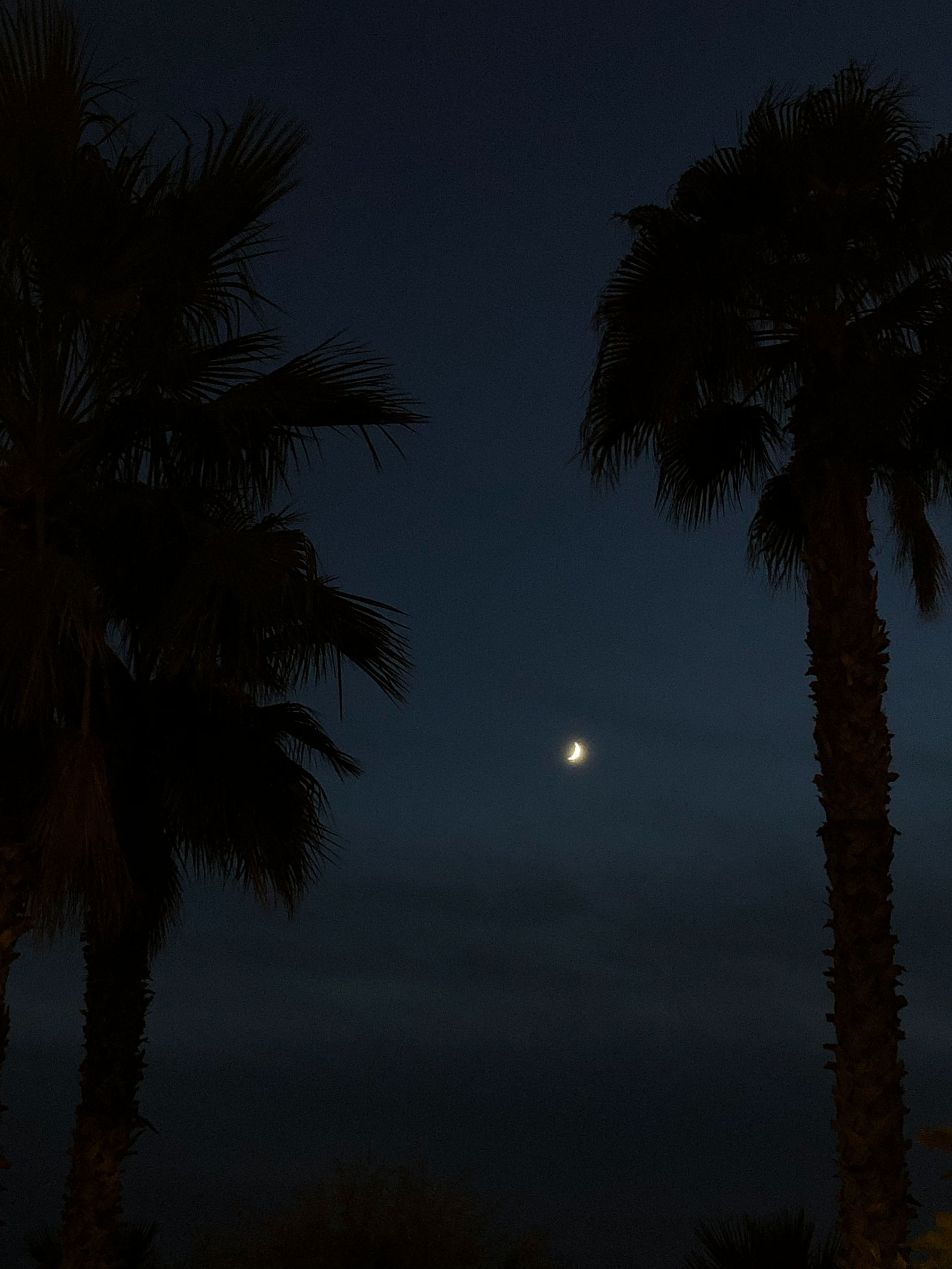 Афины. Свадебный фотограф Москва Степановский Александр