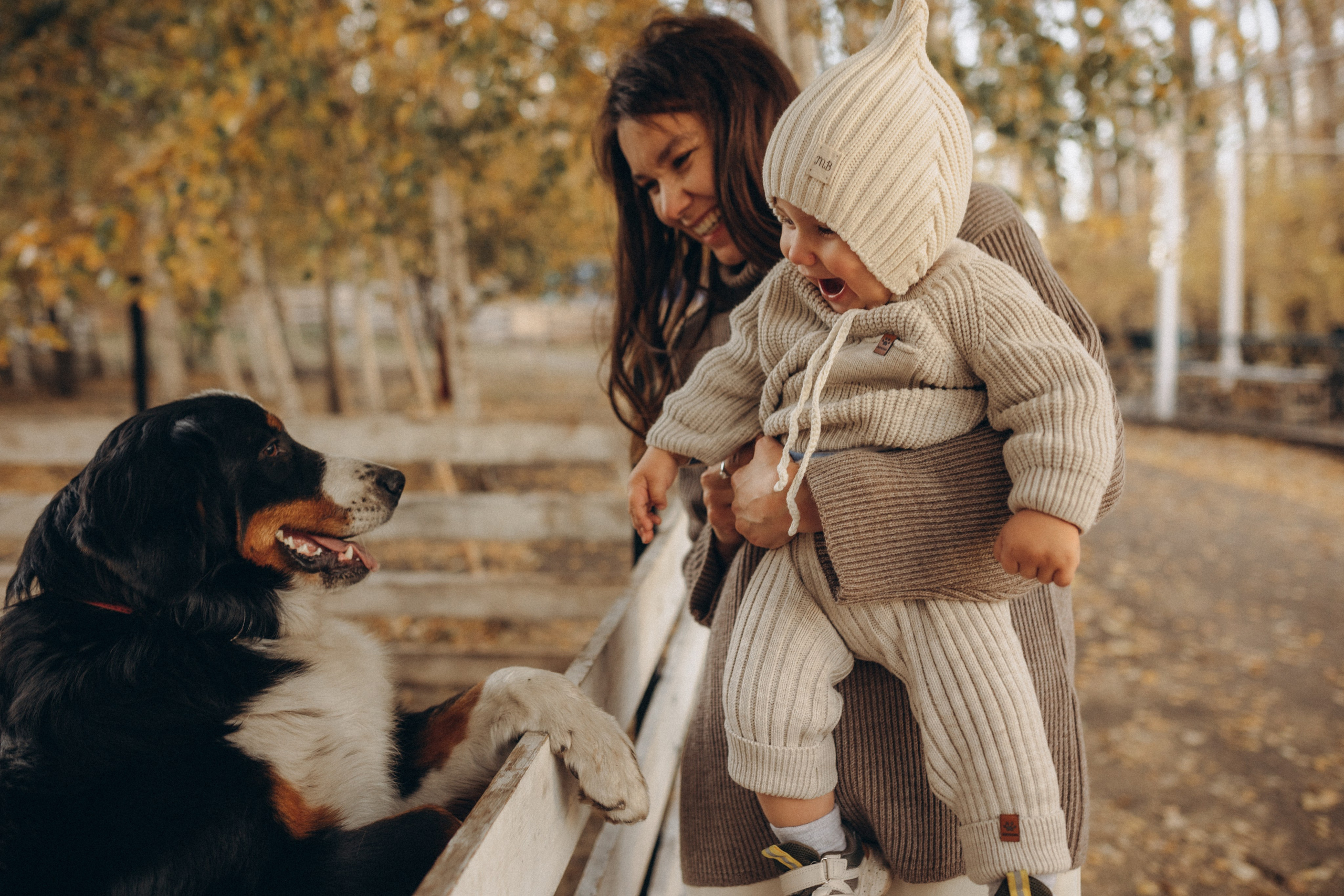 Фотопрогулка. Главная