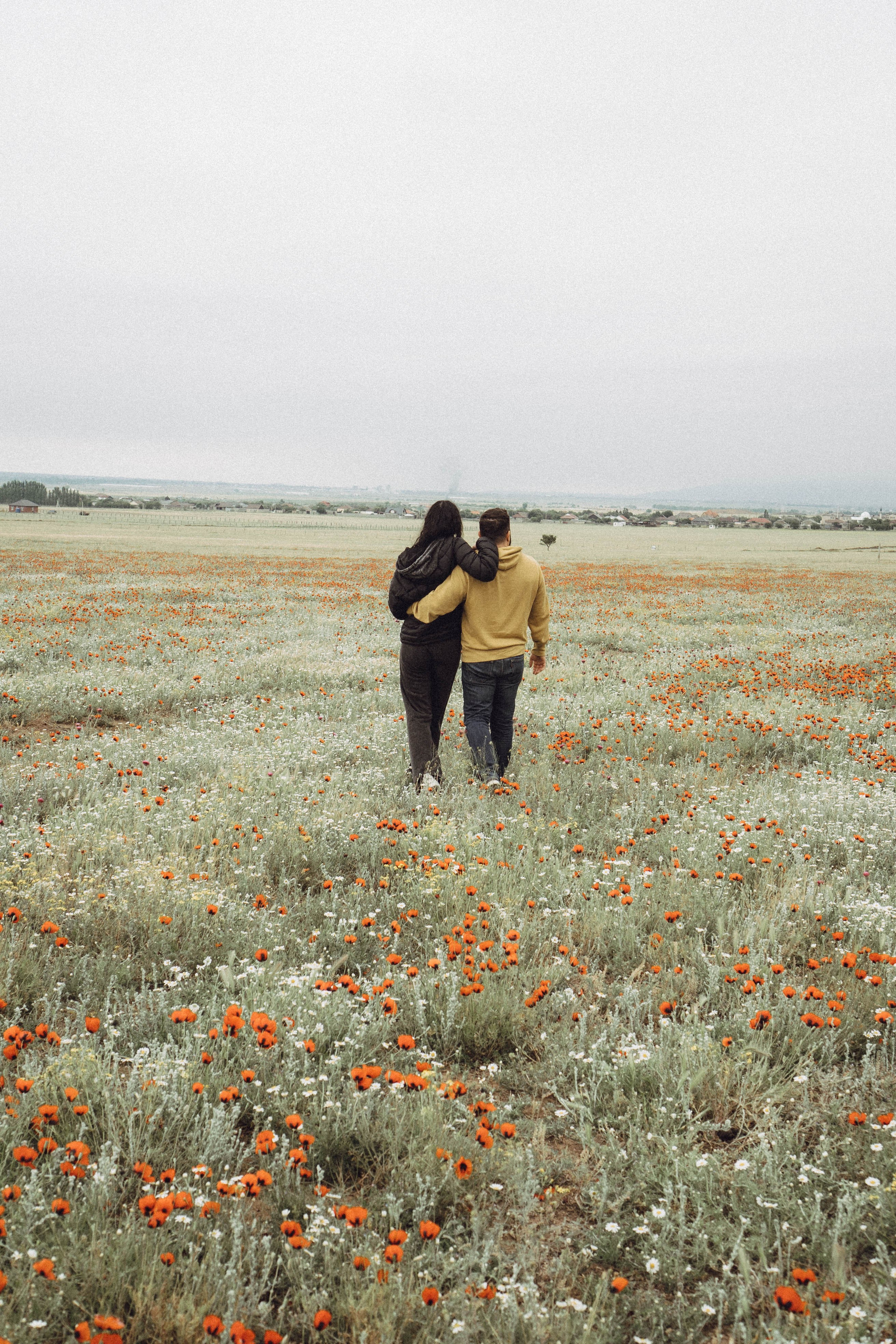 Любовь в маковом поле. Профессиональный фотограф, Санкт-Петербург — Виктория Богомолова