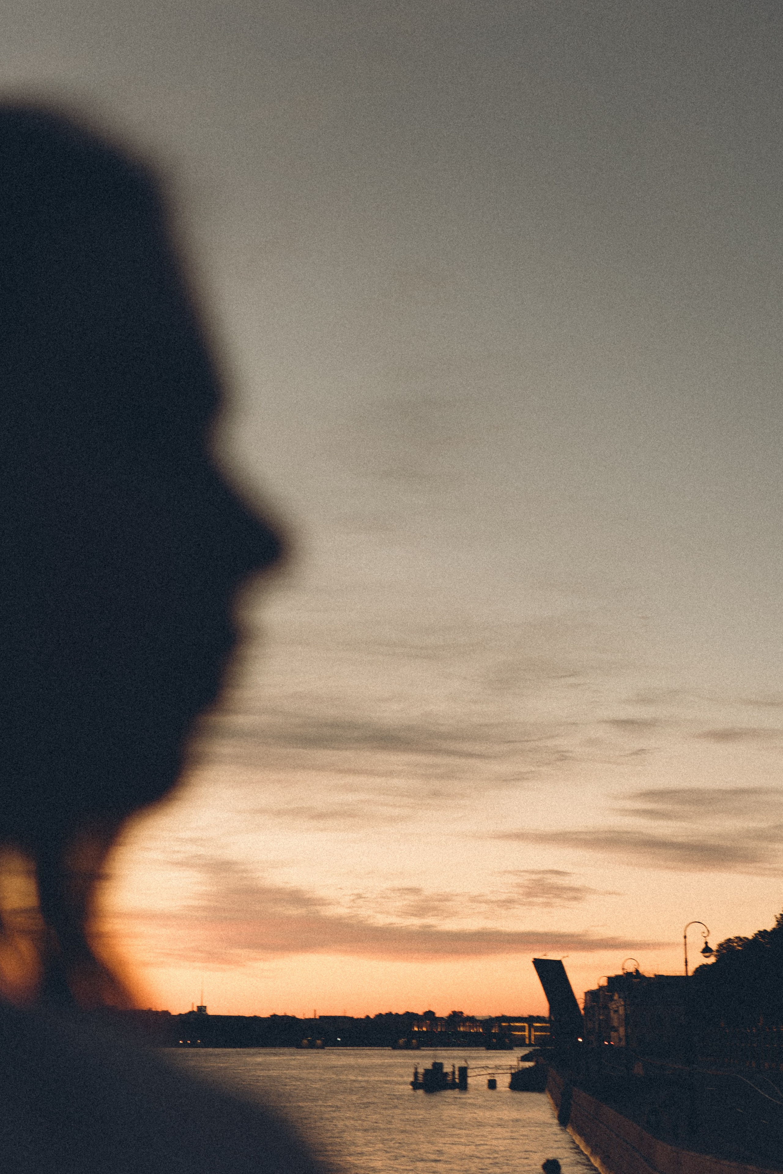 РАССВЕТ С РАЗВОДНЫМИ МОСТАМИ. Профессиональный фотограф, Санкт-Петербург — Виктория Богомолова