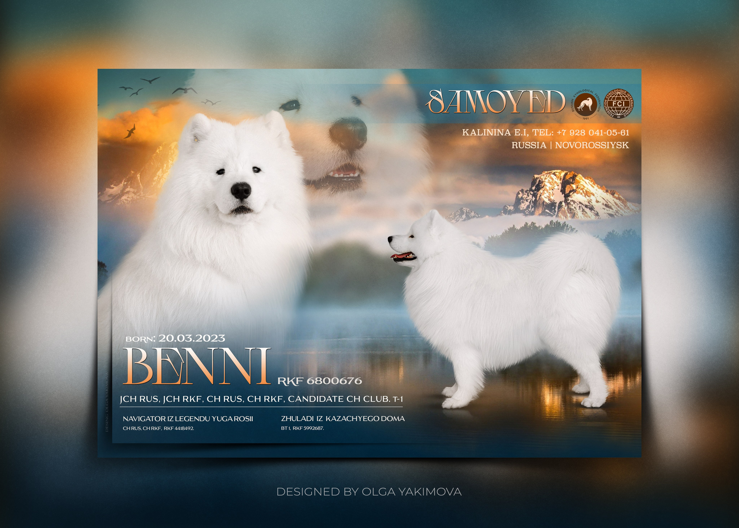 Animal presentation. Фотограф