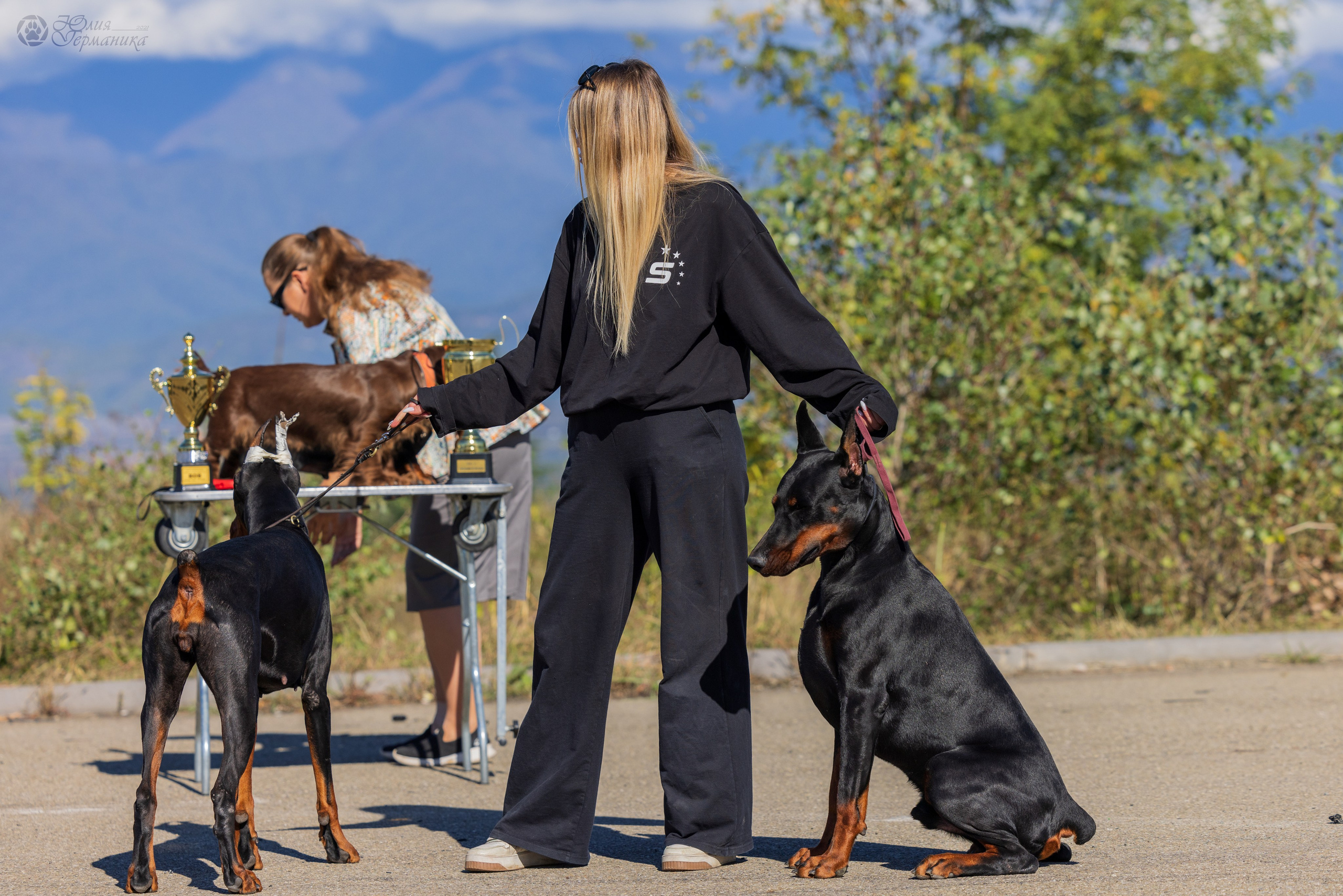 Грузия,Телави 2хCACIB 19-20.10.2024. Фотограф-анималист Юлия Германика