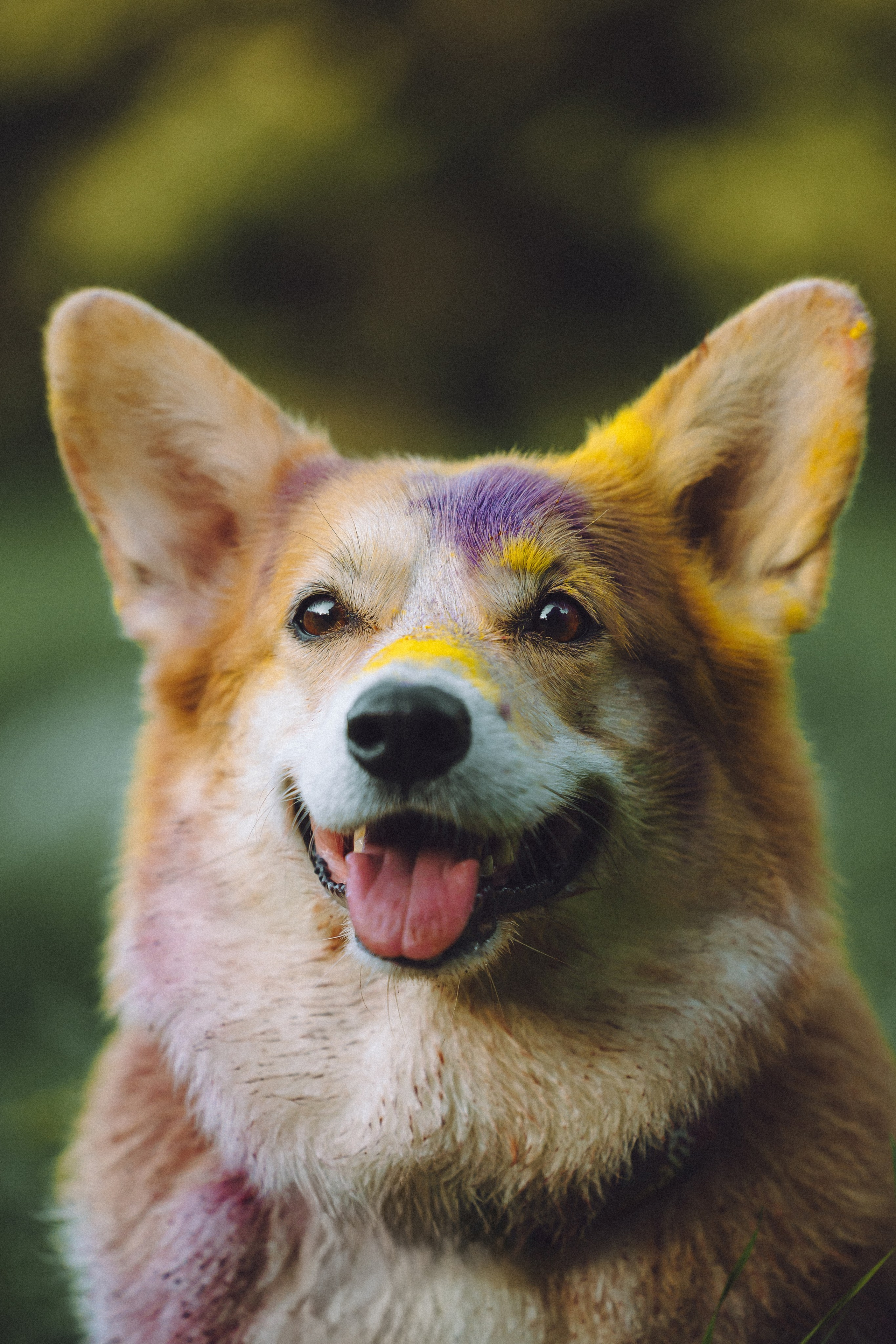 Пуговка и ее семья