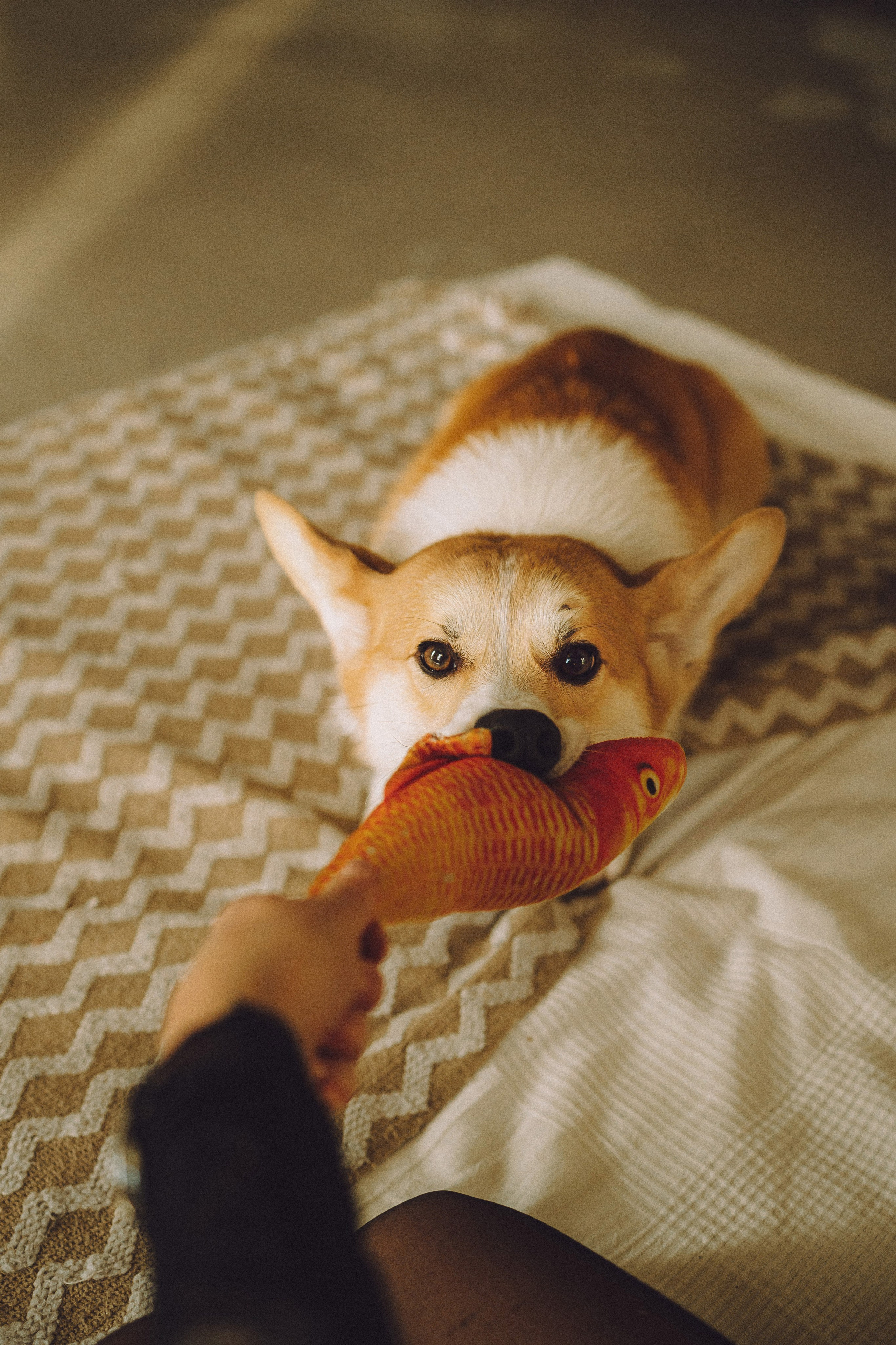 Наталья, Евгений и Мерлин