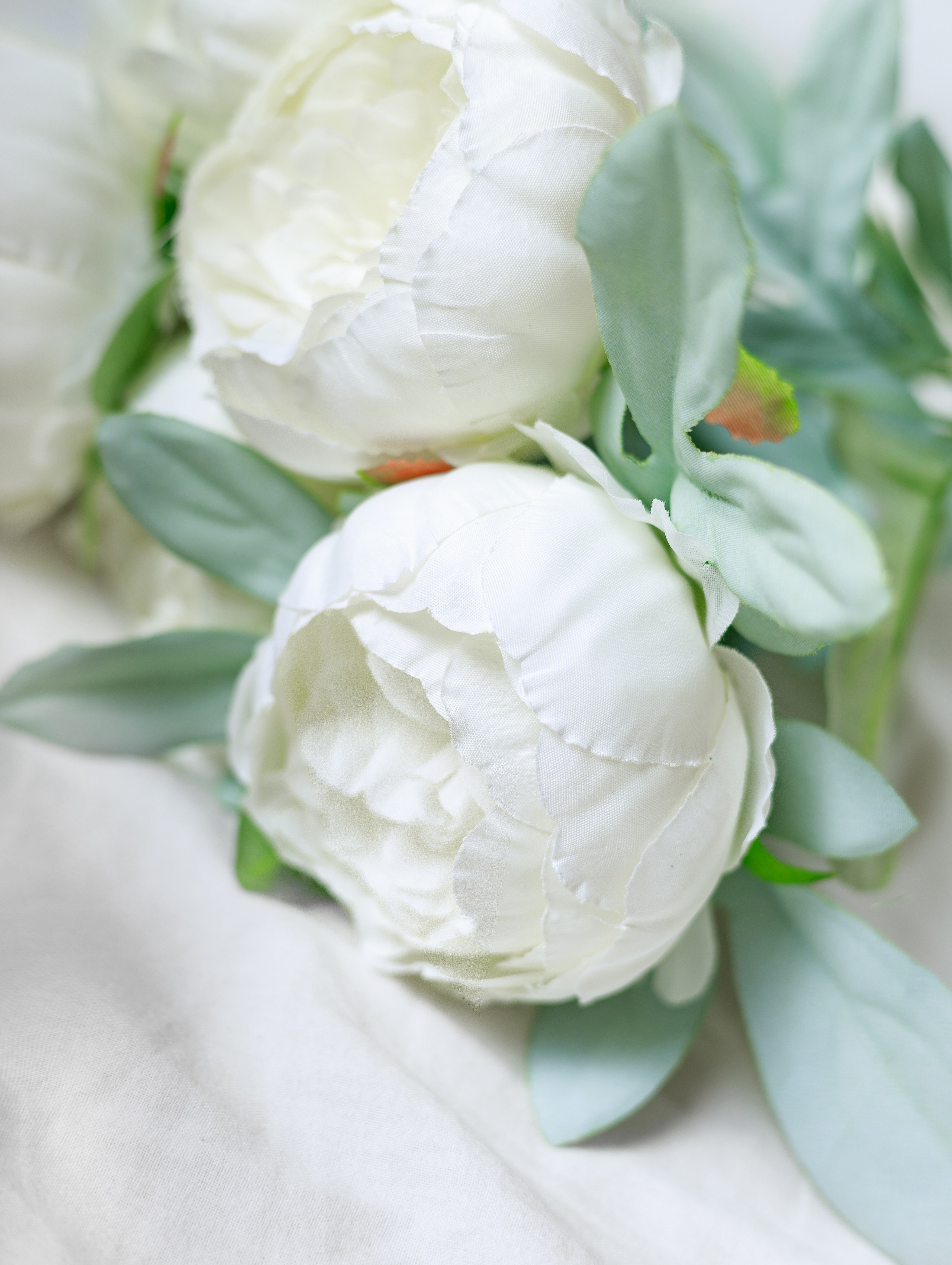 Пионы для OZON. СЕМЕЙНЫЙ И ПРЕДМЕТНЫЙ ФОТОГРАФ — ЛЕНА ГОНЧАР | КРАСНОДАР | МАЙКОП