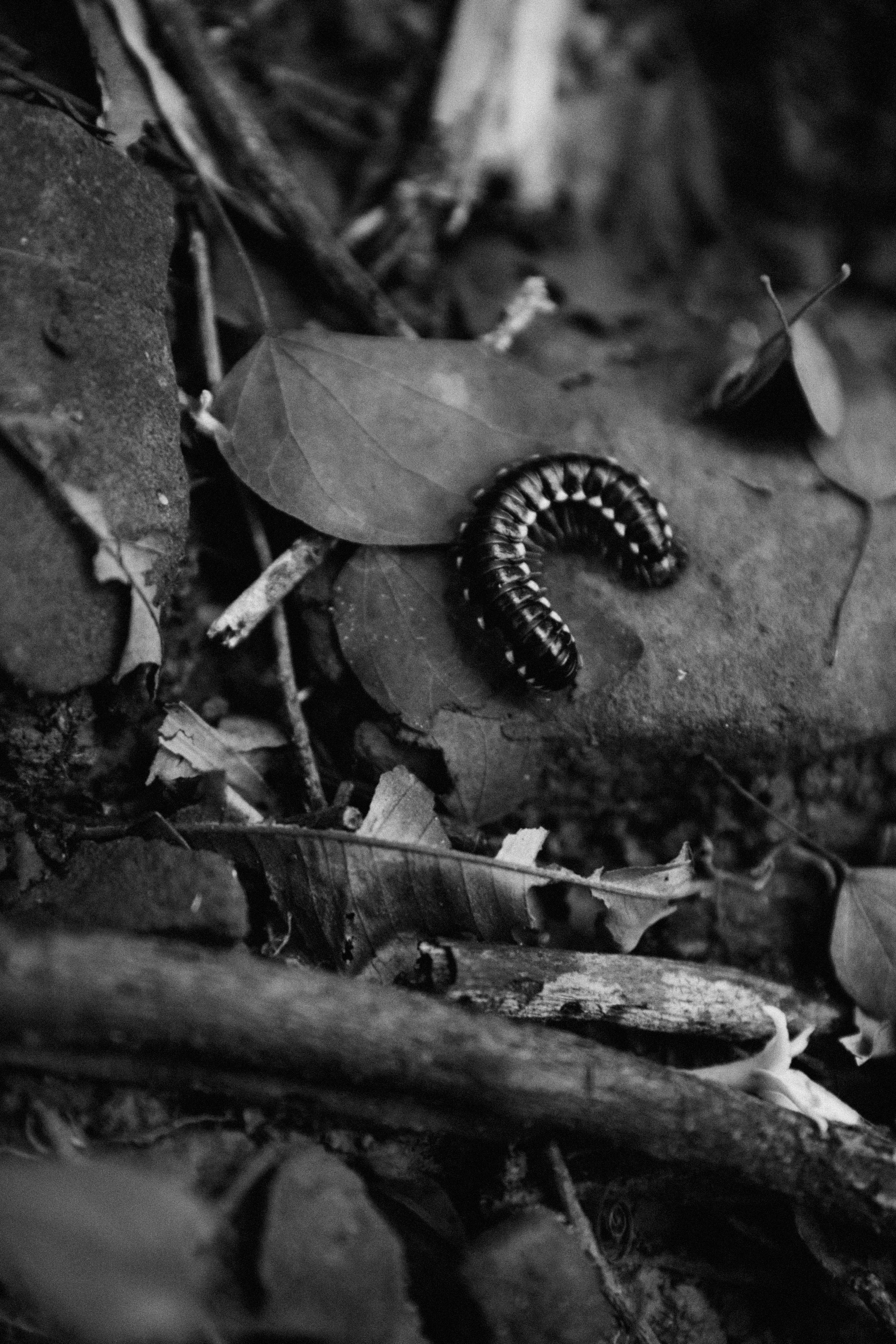 Vicky. Портретный фотограф / Панама / Анастасия Елизарова