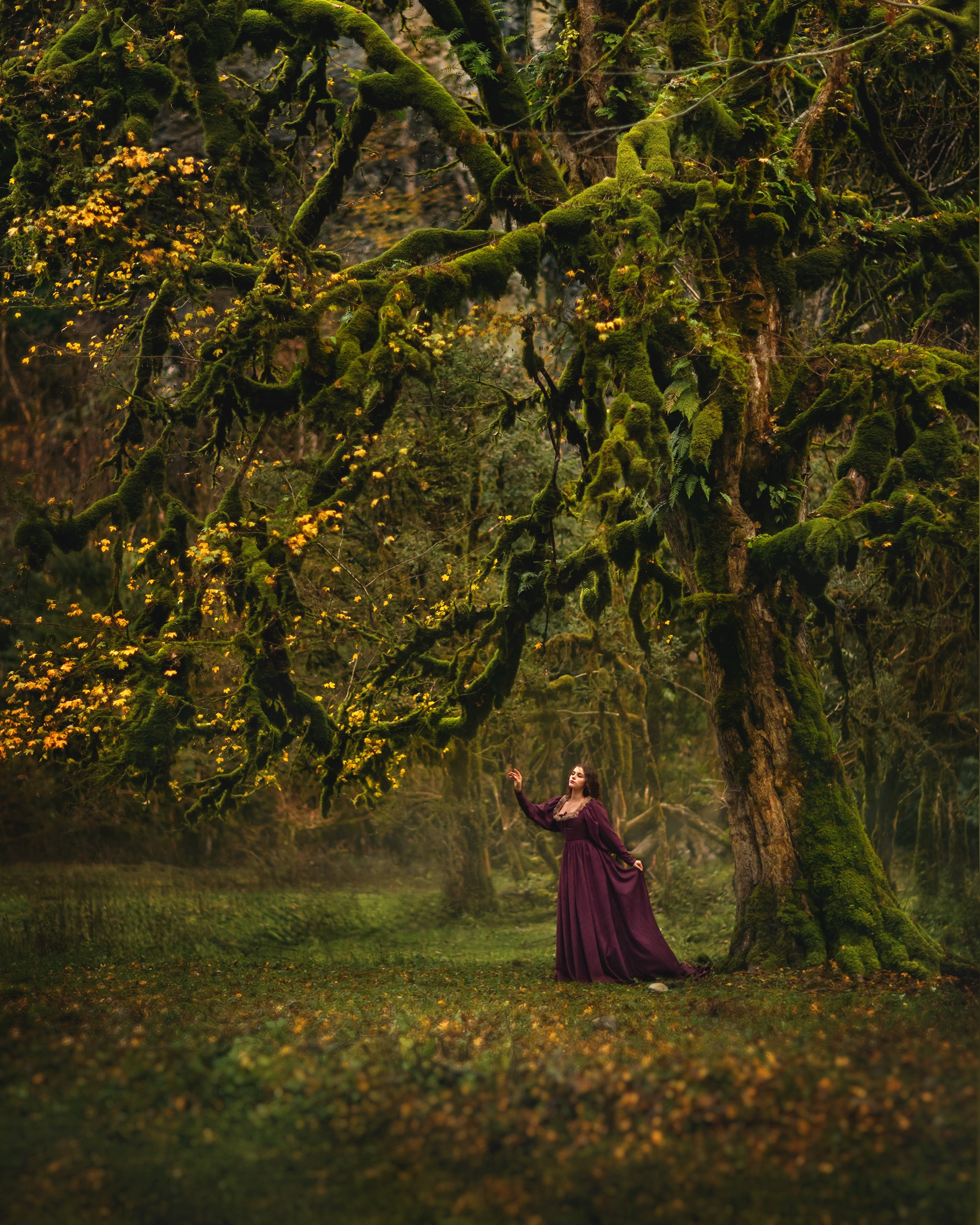 Самшитовый лес. Детский и семейный фотограф Елена Михайлова в Москве