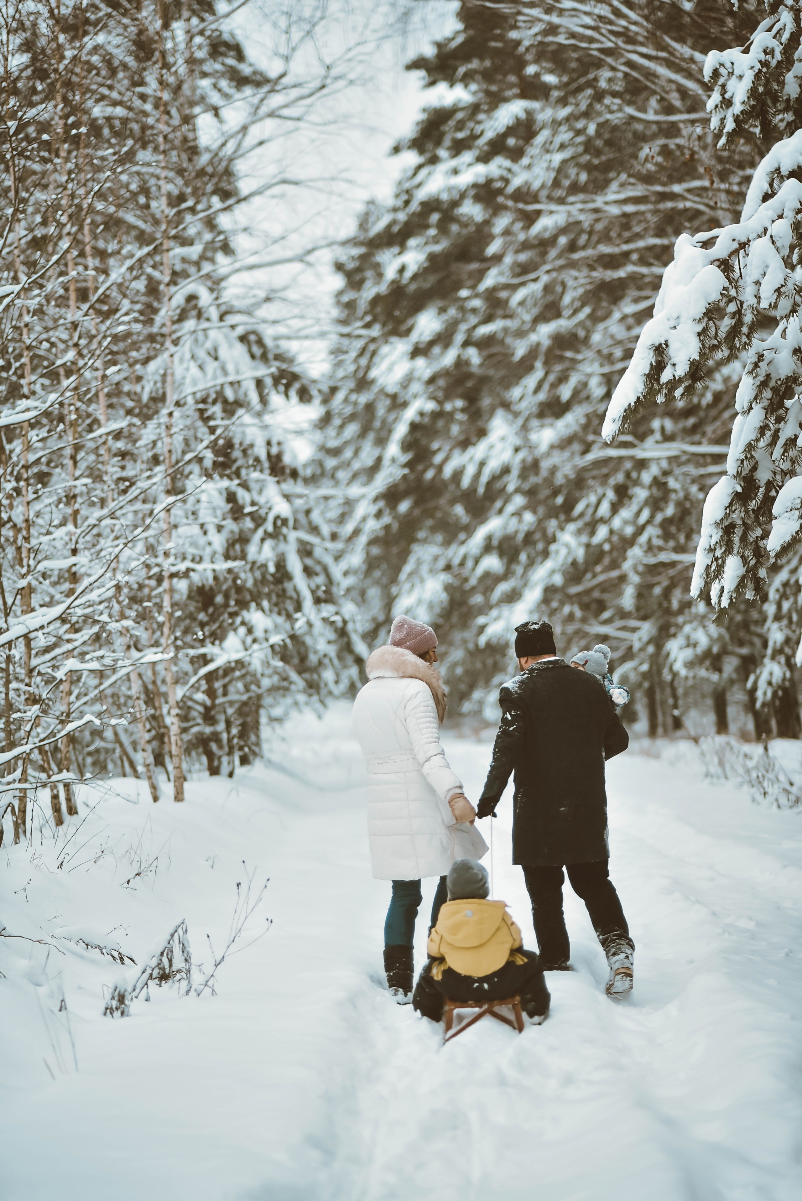 Winter. NatashaNimfa photo