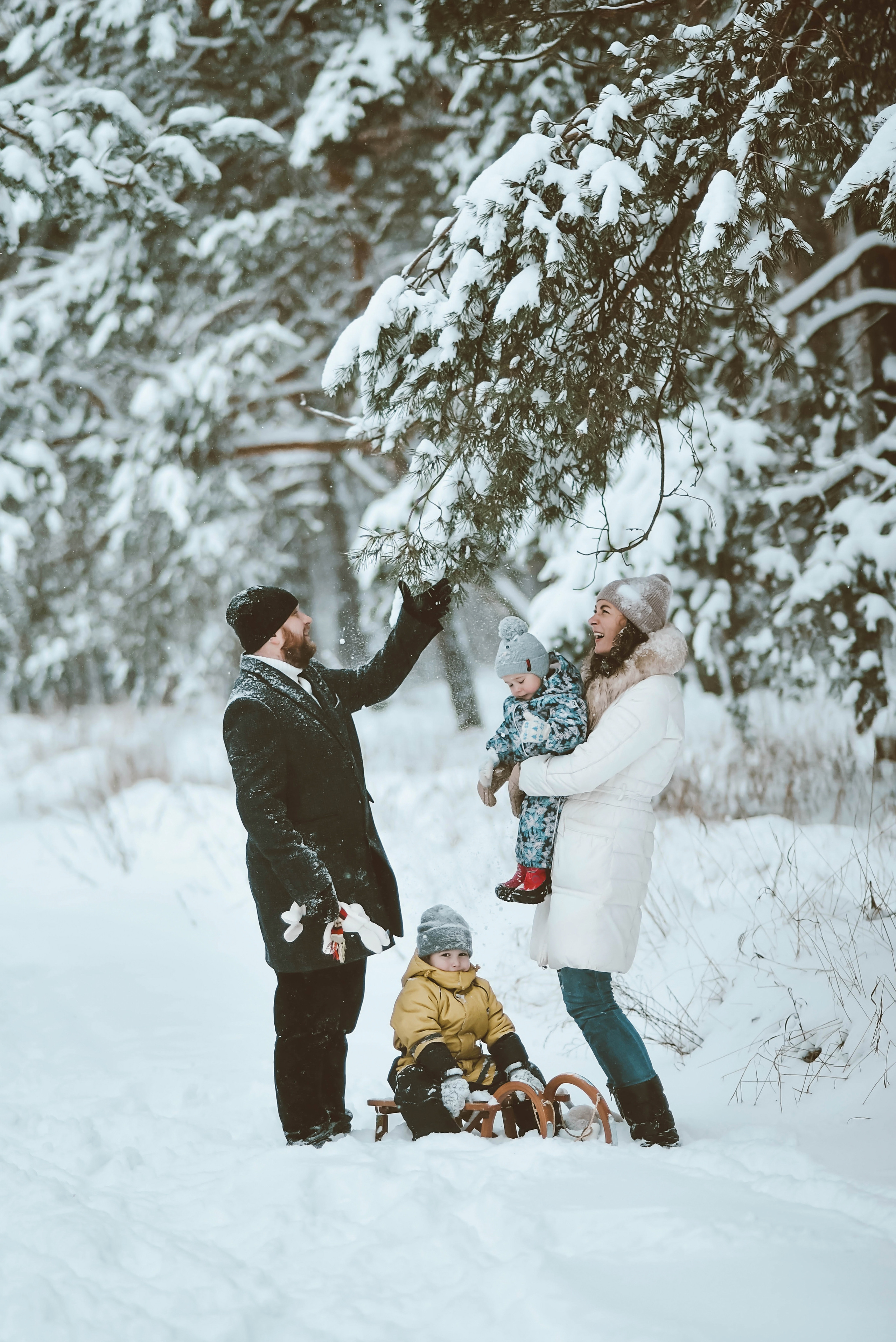 Winter. NatashaNimfa photo