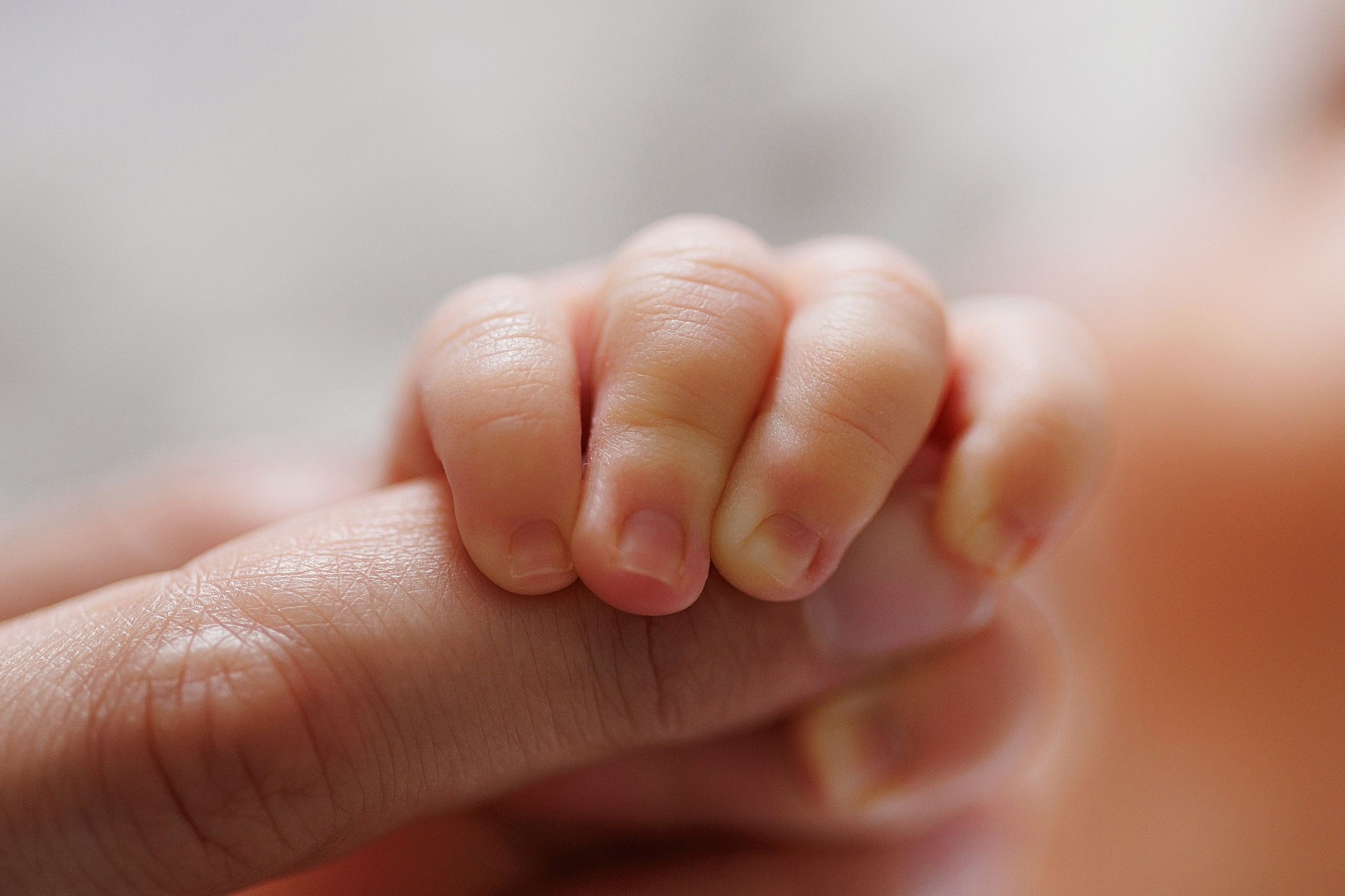 Новорожденные. Фотограф новорожденных в Сочи Екатерина Вялова