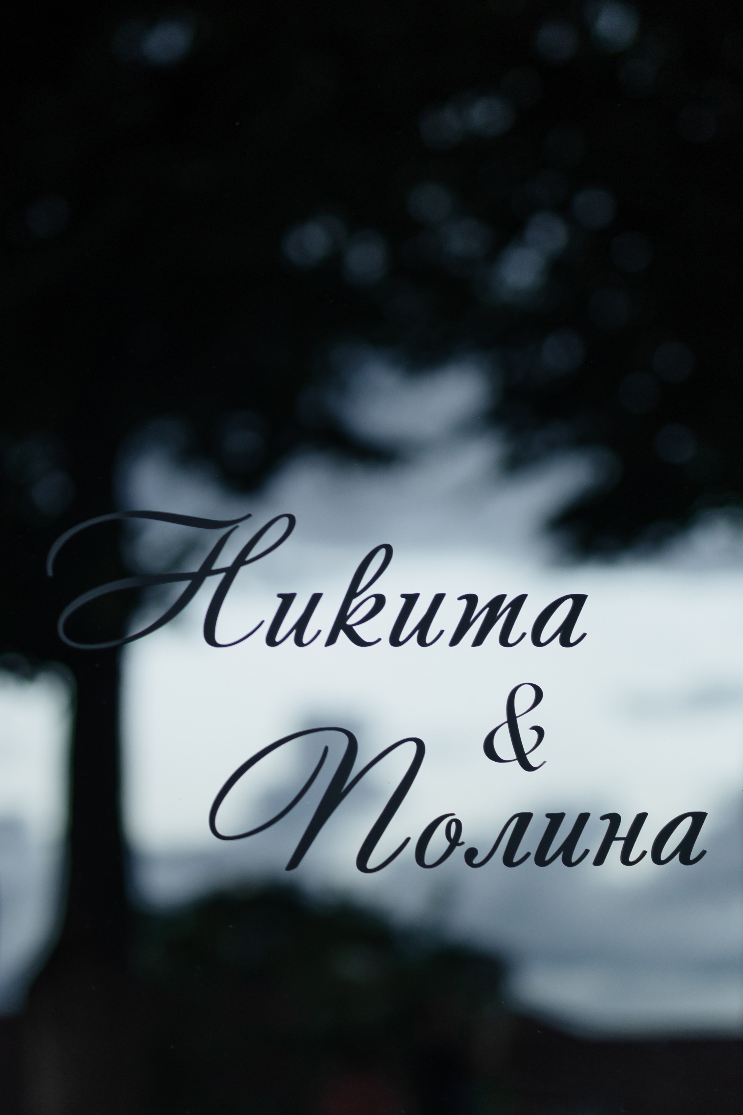 Свадьба Никиты и Полины. Фотограф Кольчугино/Владимир/Москва Елизавета Иода