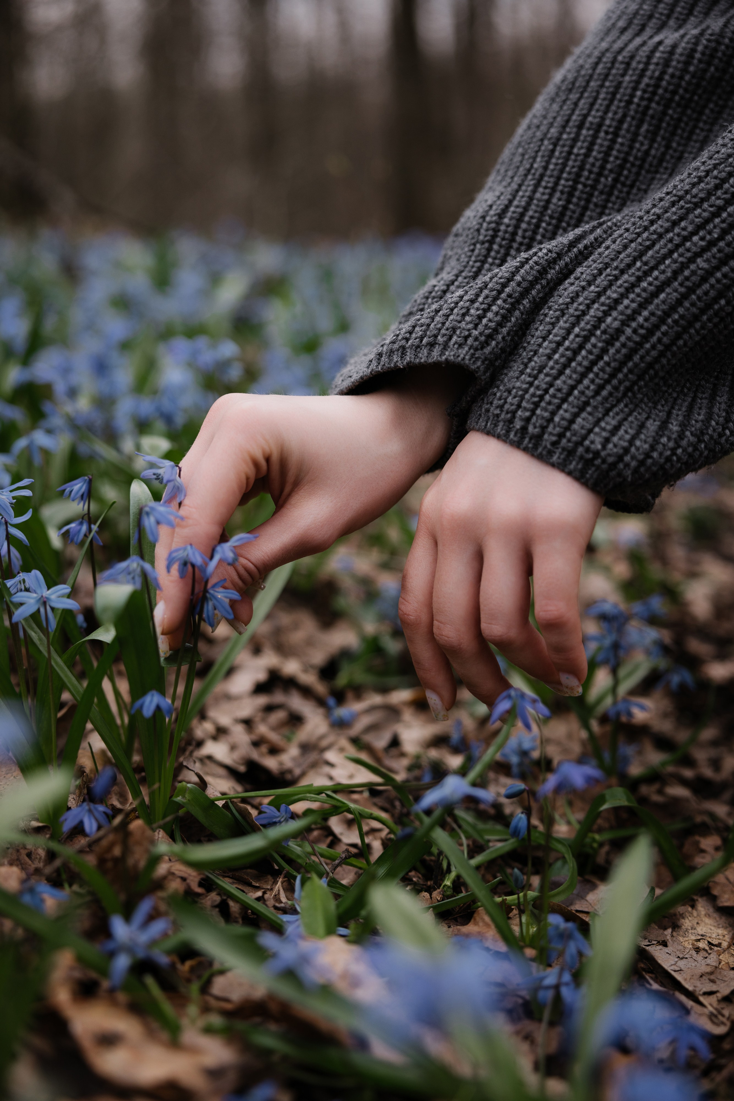 Вероника. Семейный фотограф Губкин/Старый Оскол
