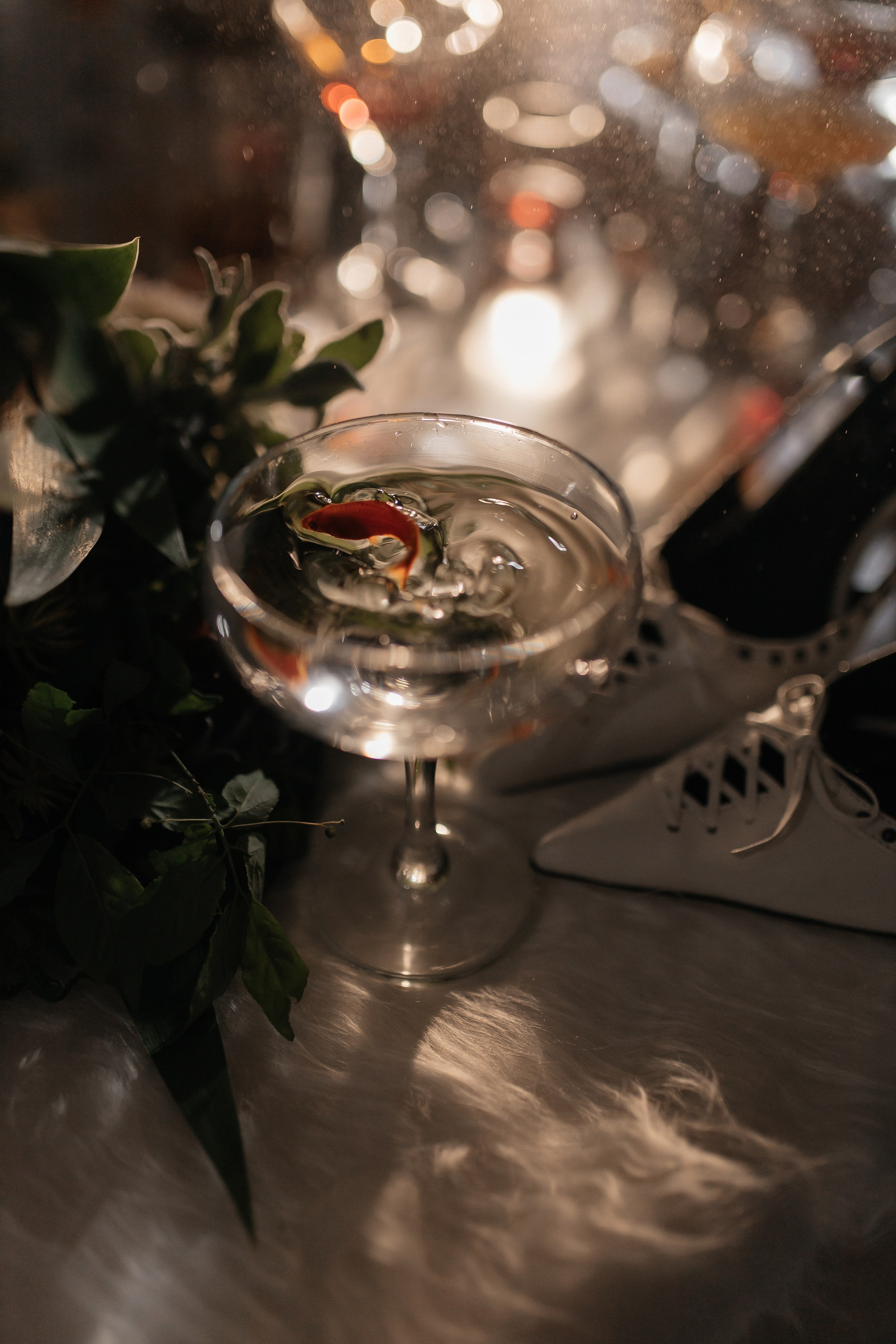 Алина и Александр. Семейный фотограф Губкин/Старый Оскол