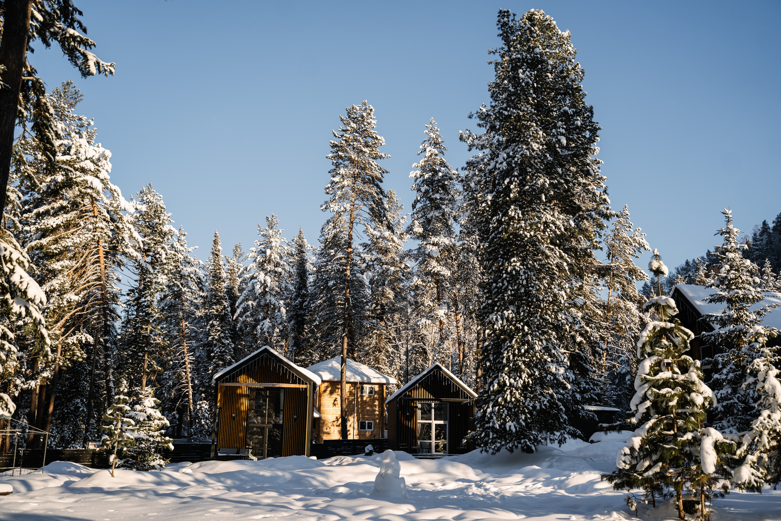 Релекс ТЕЛЕЦКОЕ. Фотограф Ольга Пучкова