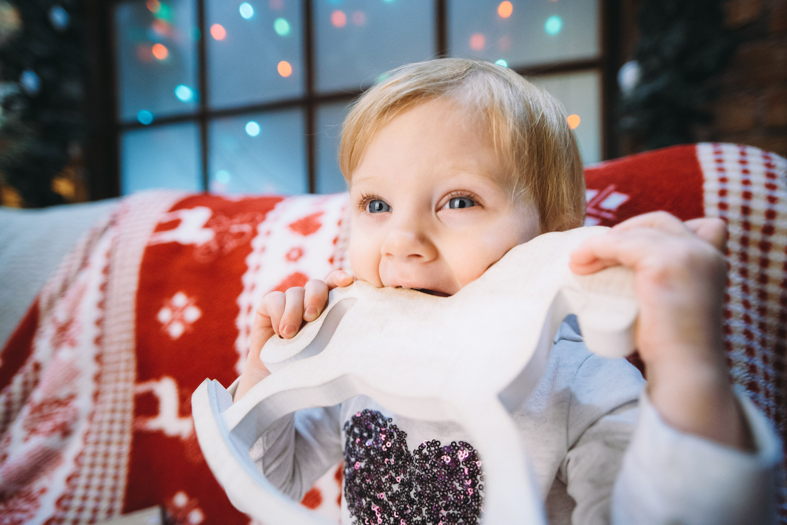 Британский новый год. Свадебный и семейный фотограф в Минске Филиппович Александр