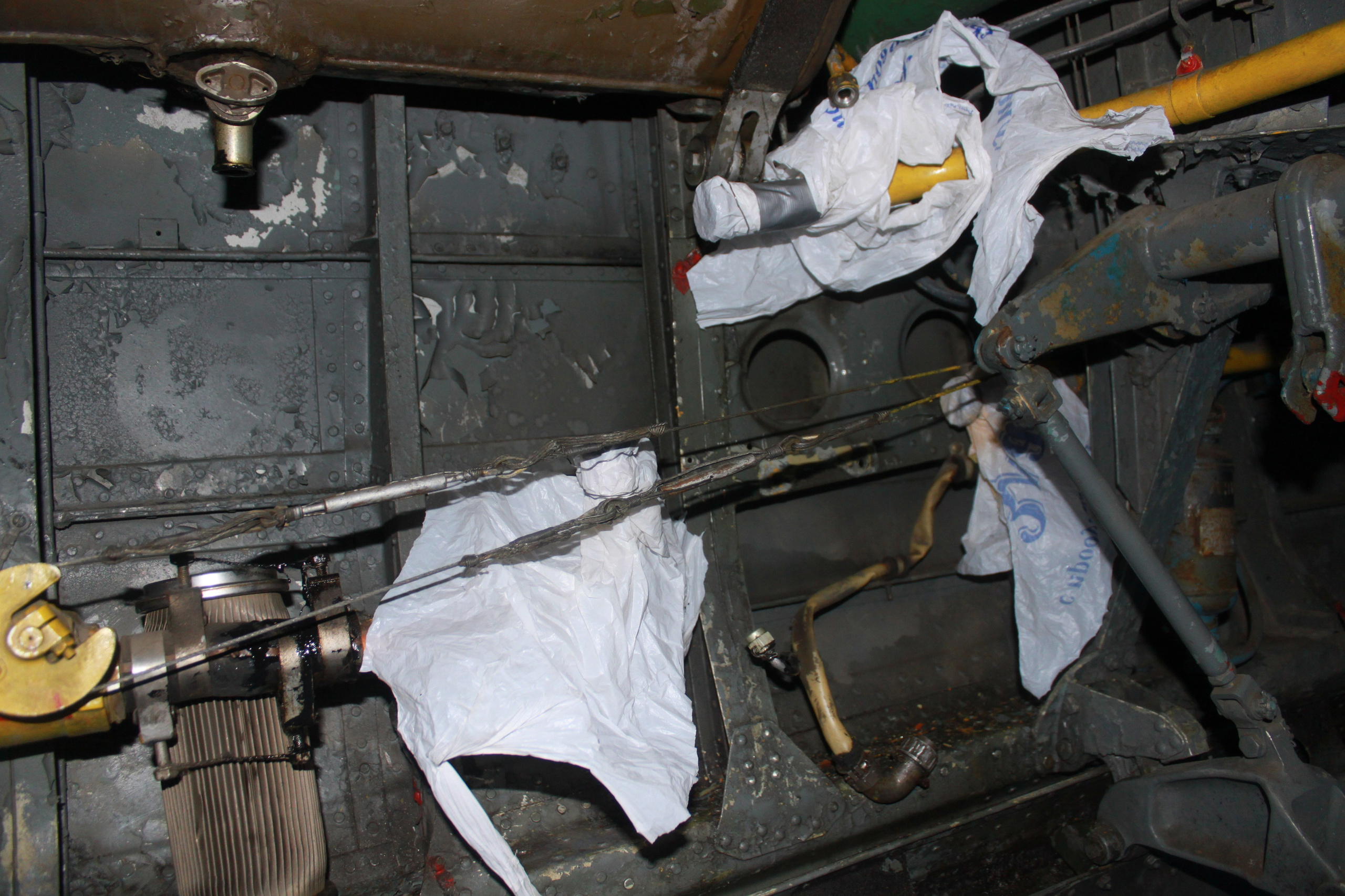 Ил-14Т «Голубая Мечта» работы в Тушино (2011 г.). Фотоальбом показывающий увлекательный мир авиации и мир медведей Андрея Иванова