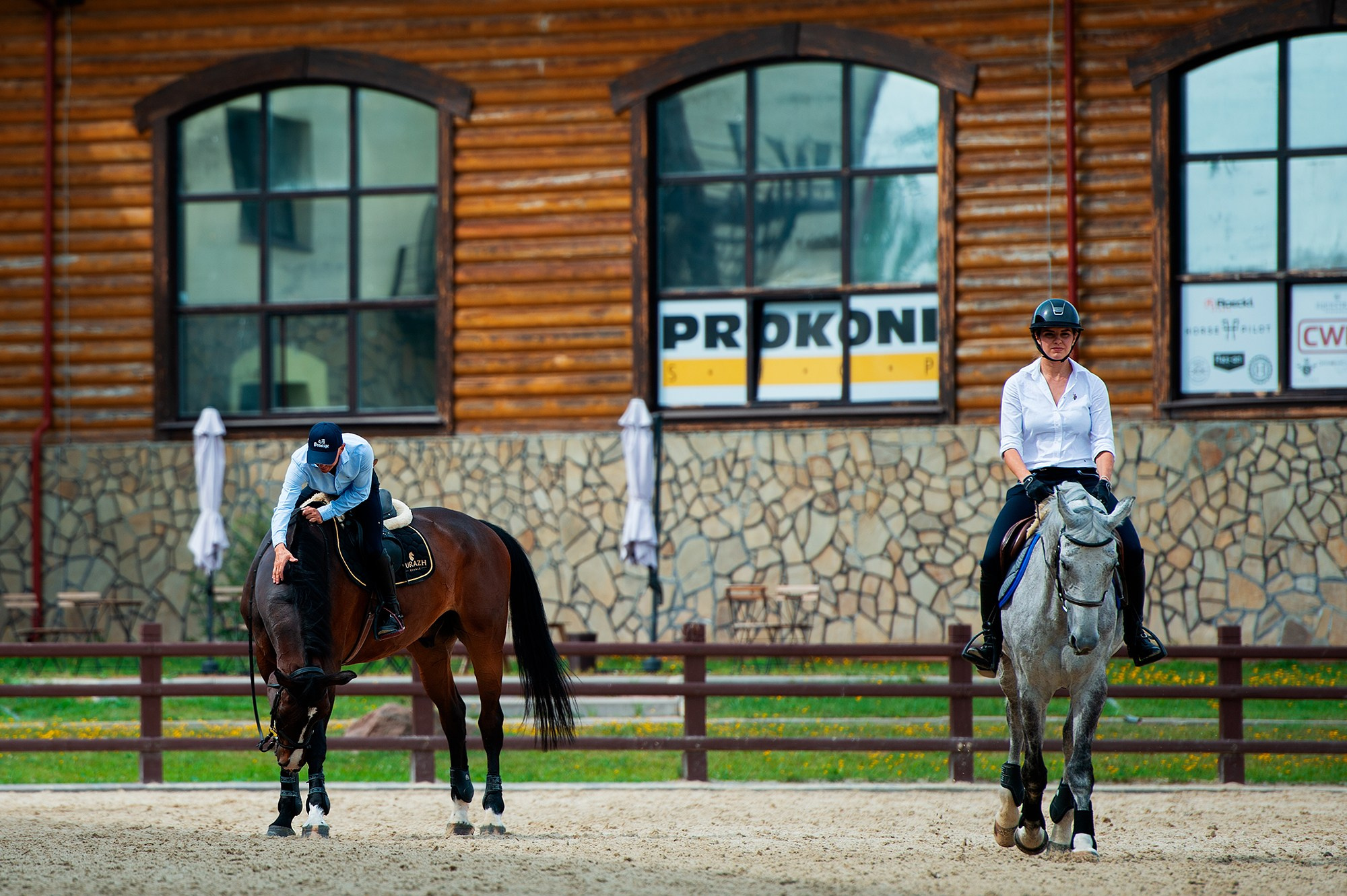 Тренировки. Конный фотограф Alesya Safe