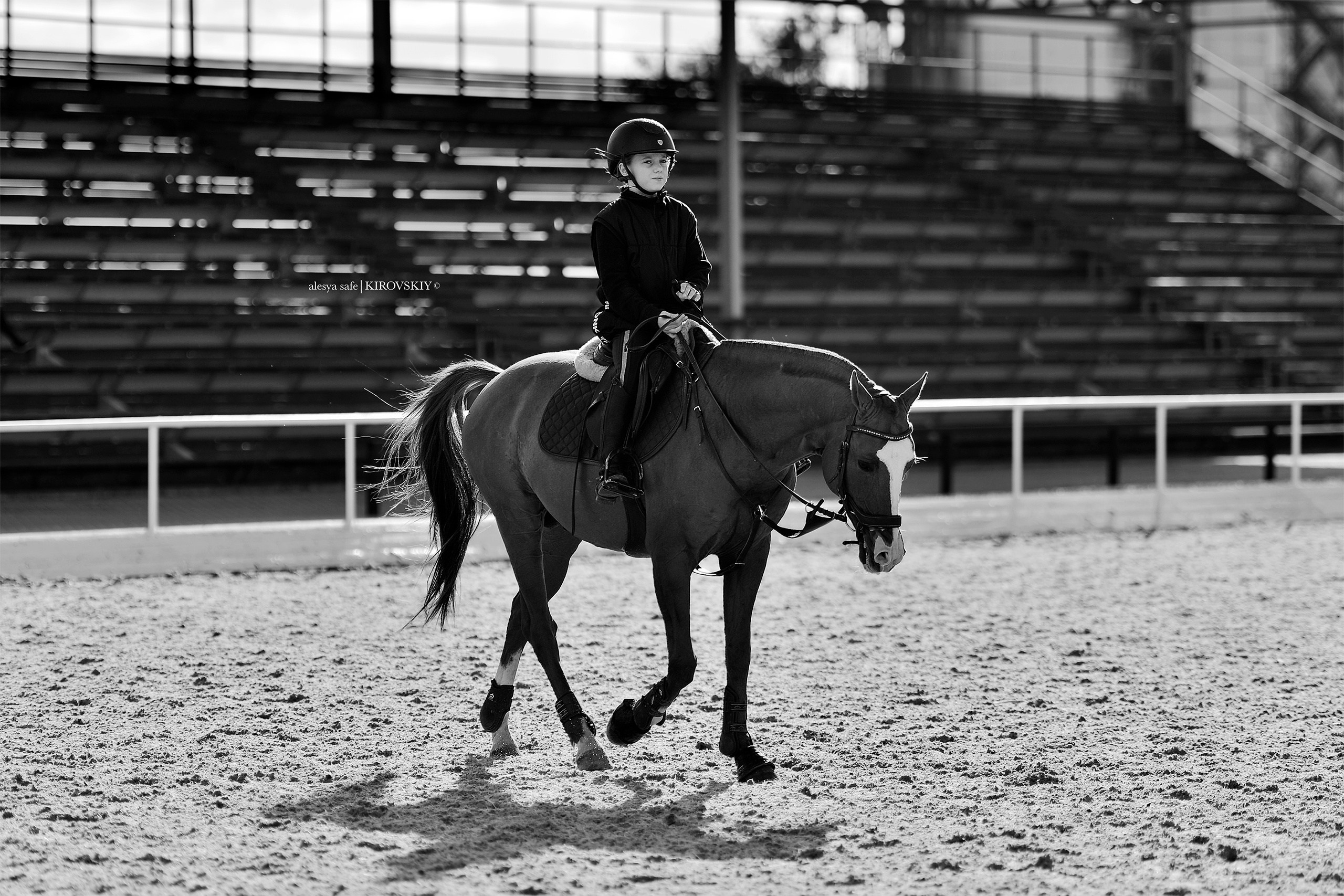 Кировский конный завод. Конный фотограф Alesya Safe