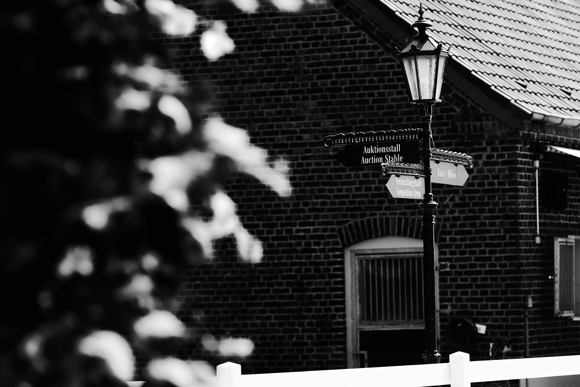 ЕС. Конный фотограф Alesya Safe